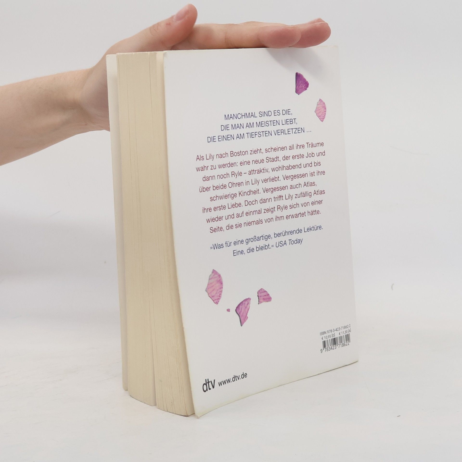 Colleen Hoover Nur noch ein einziges Mal