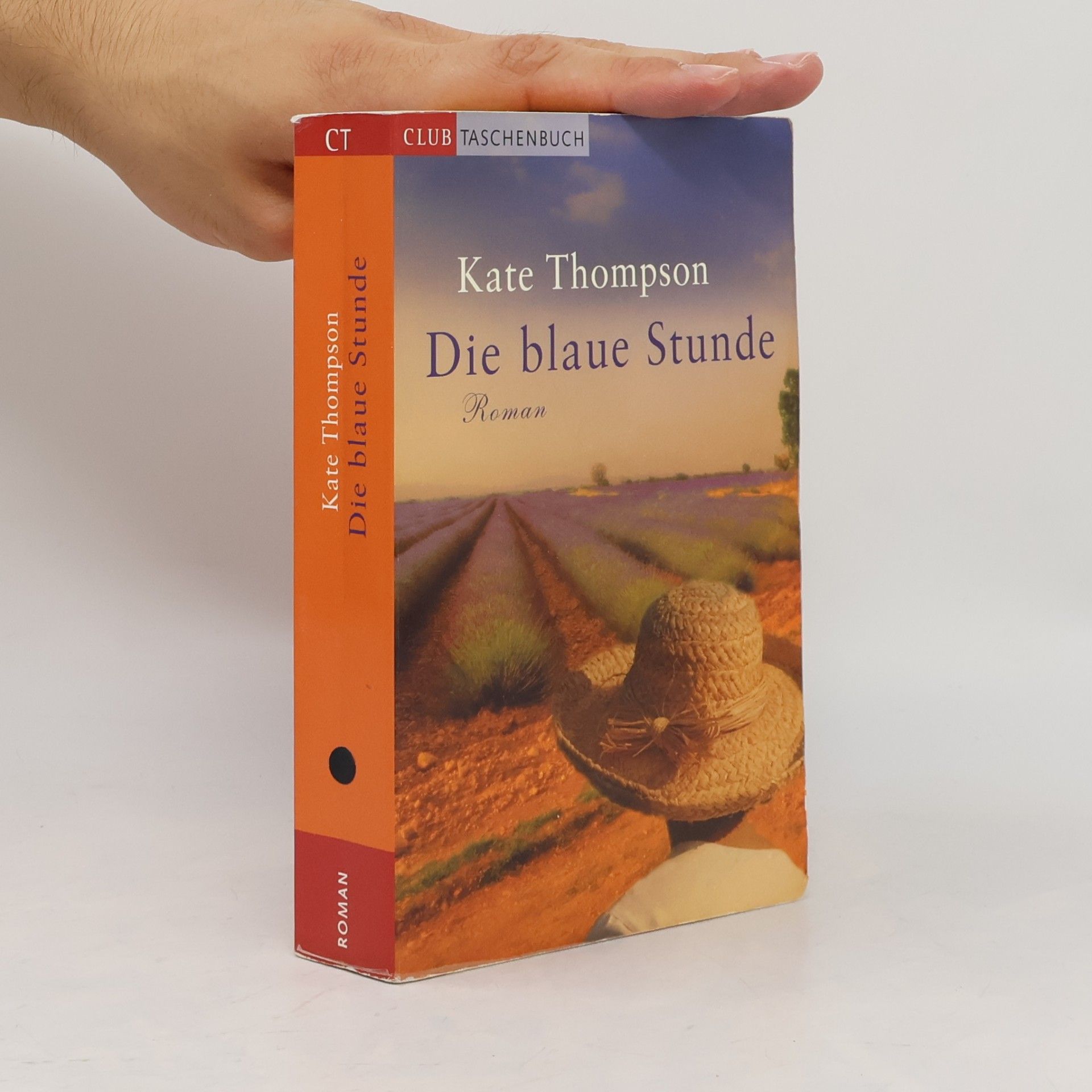 Kate Thompson Die blaue Stunde