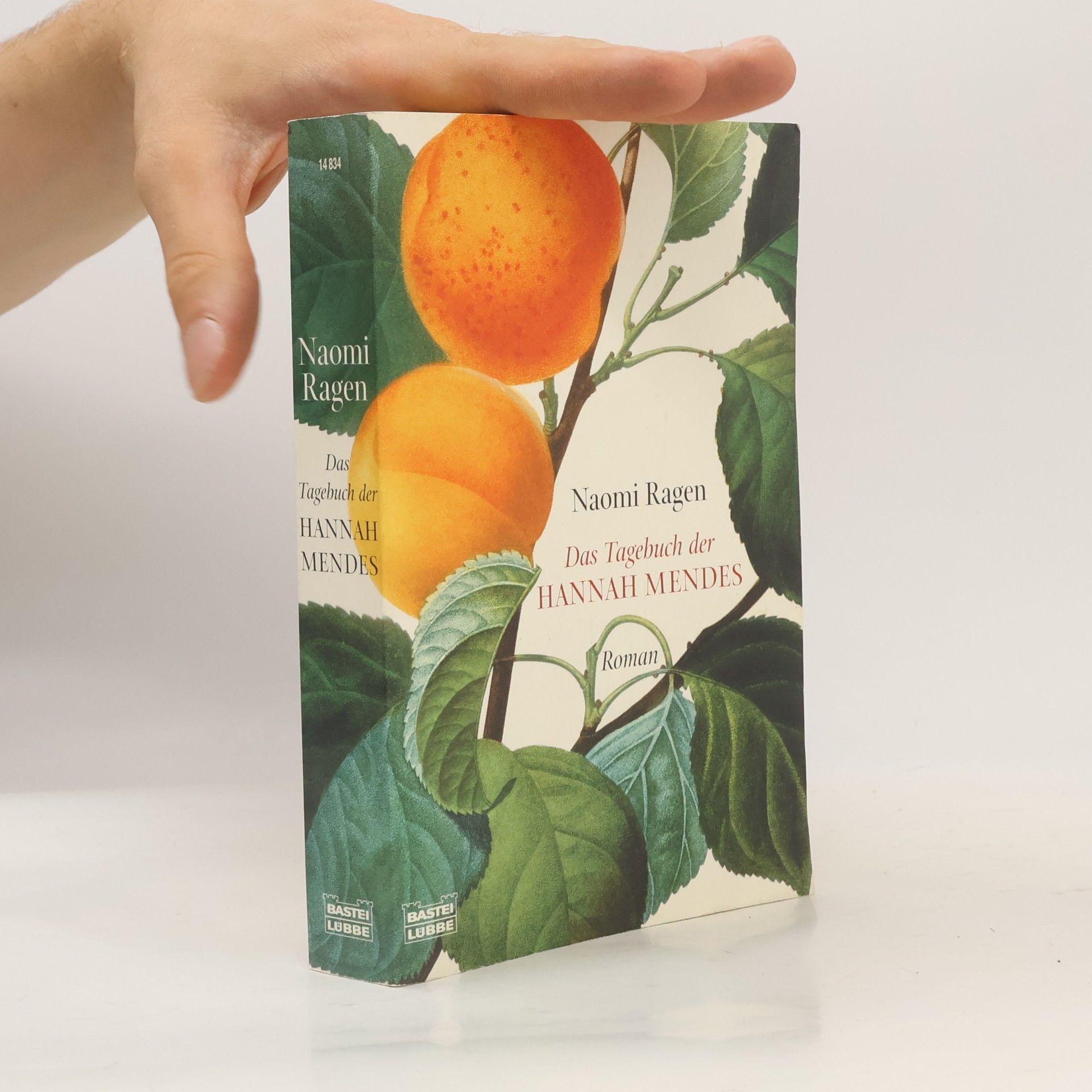 Naomi Ragen Das Tagebuch der Hannah Mendes