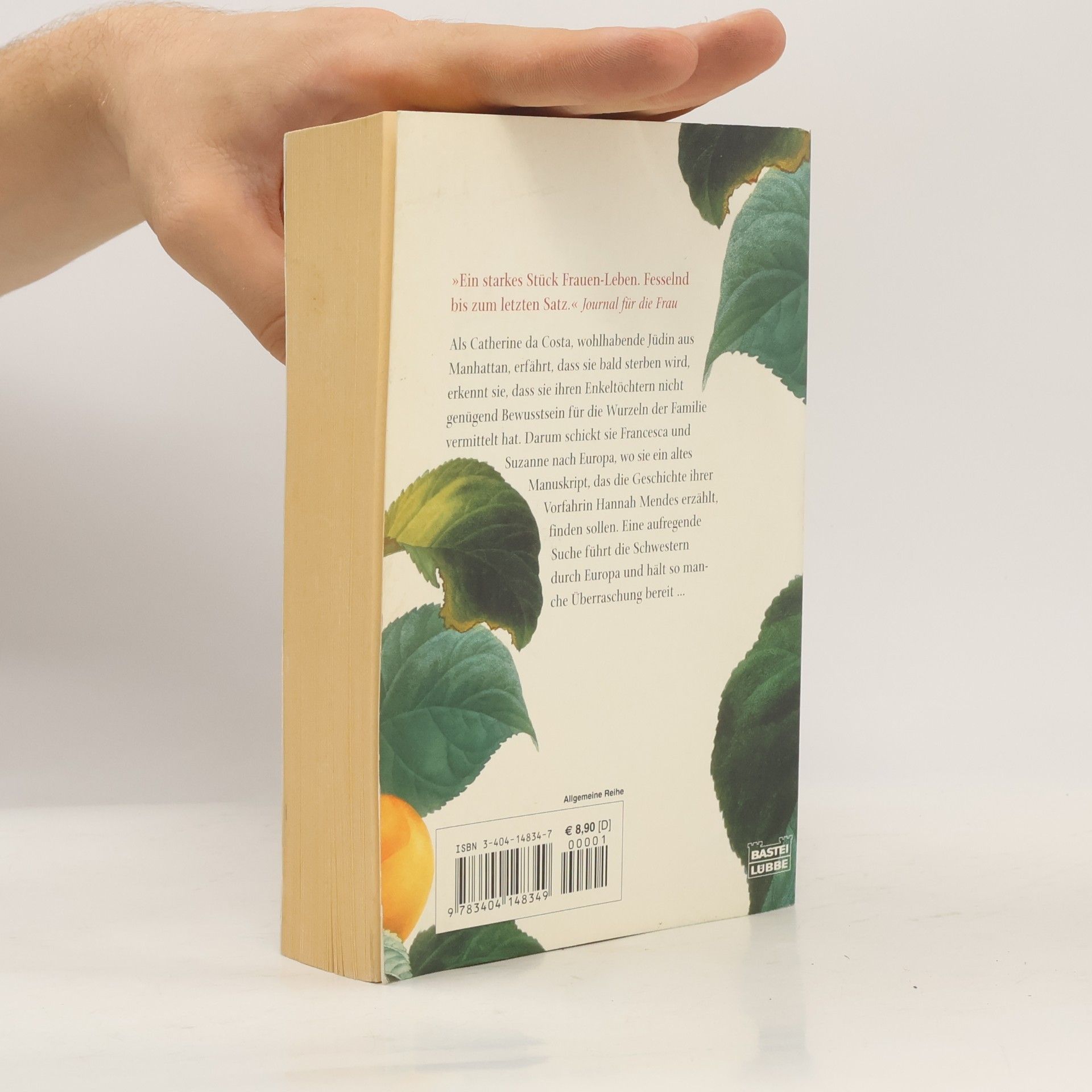 Naomi Ragen Das Tagebuch der Hannah Mendes