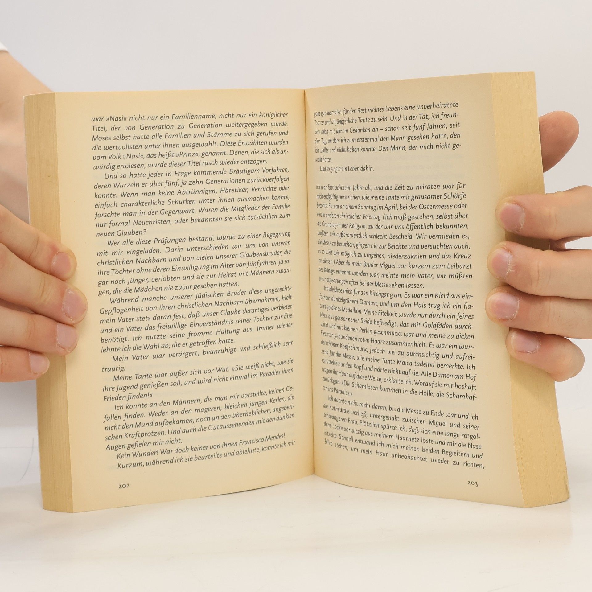 Naomi Ragen Das Tagebuch der Hannah Mendes