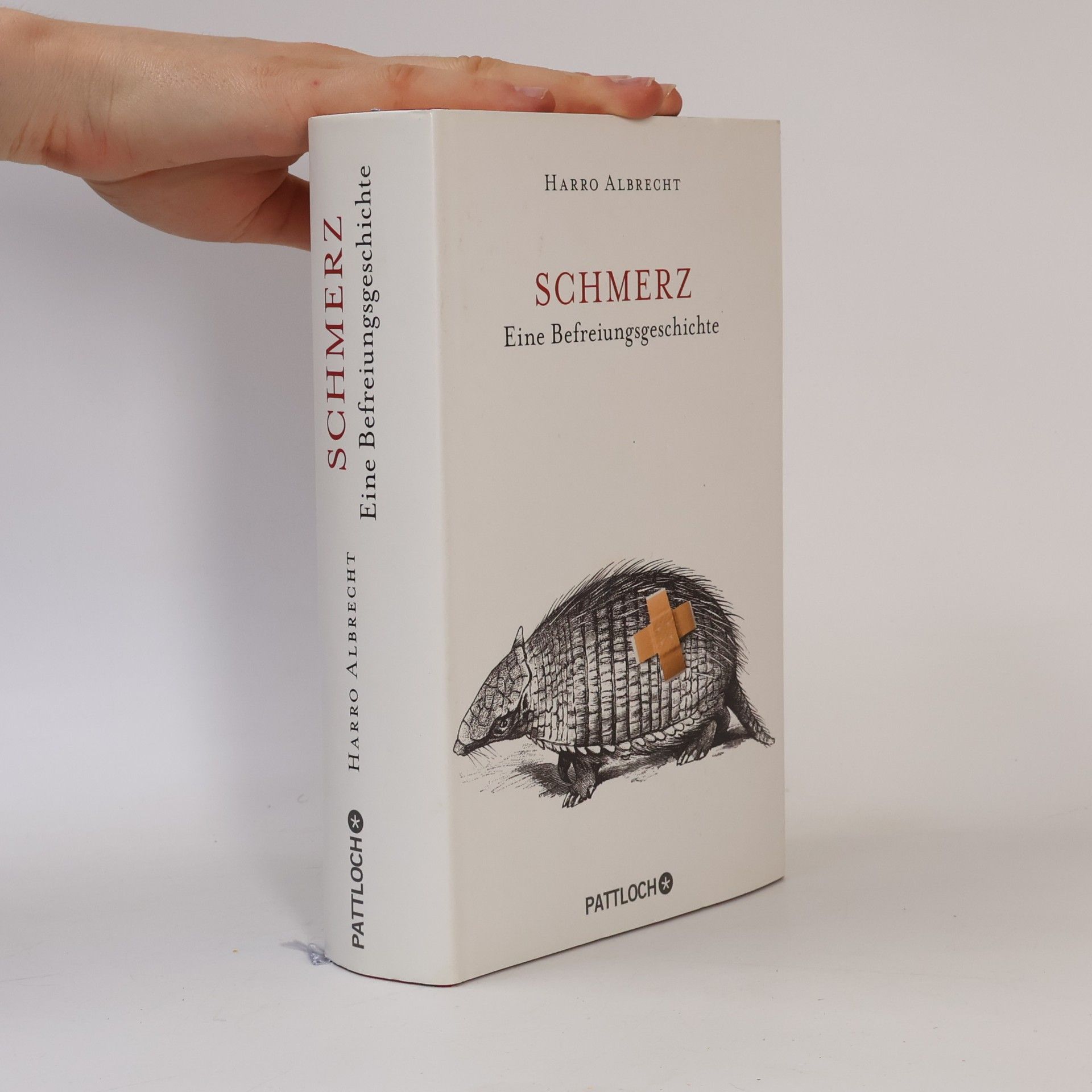 Harro Albrecht Schmerz