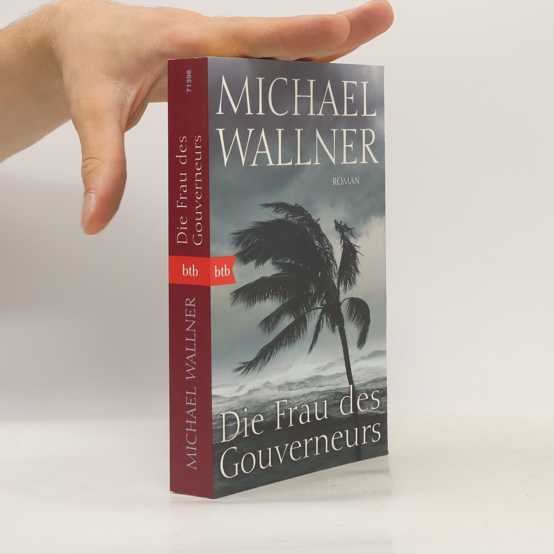 Michael Wallner Die Frau des Gouverneurs