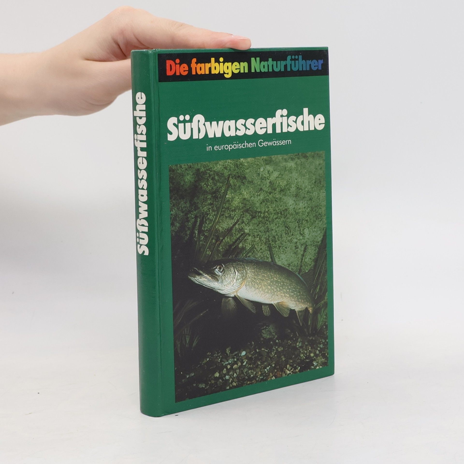 Autorenkollektiv Süßwasserfische in europäischen Gewässern