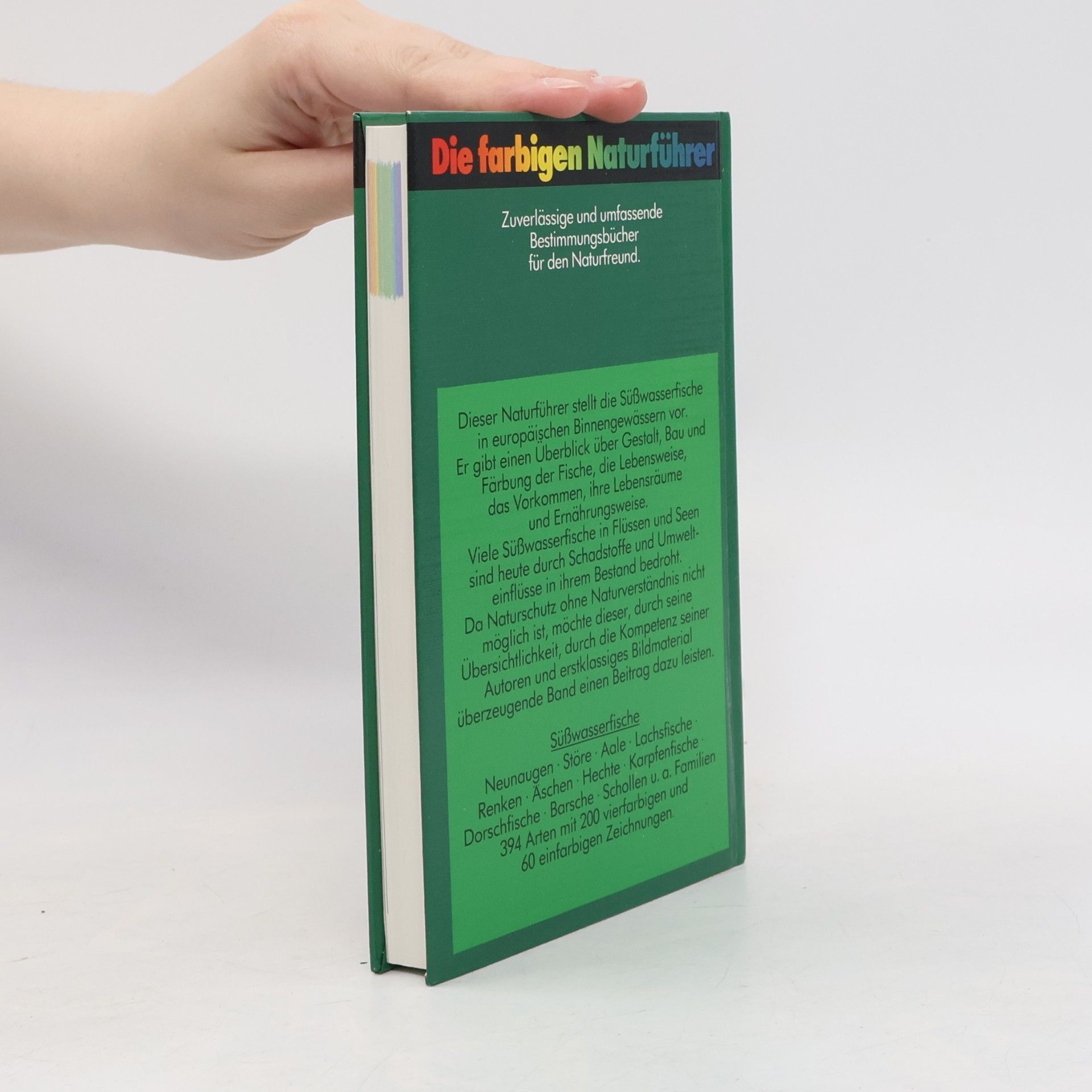 Autorenkollektiv Süßwasserfische in europäischen Gewässern