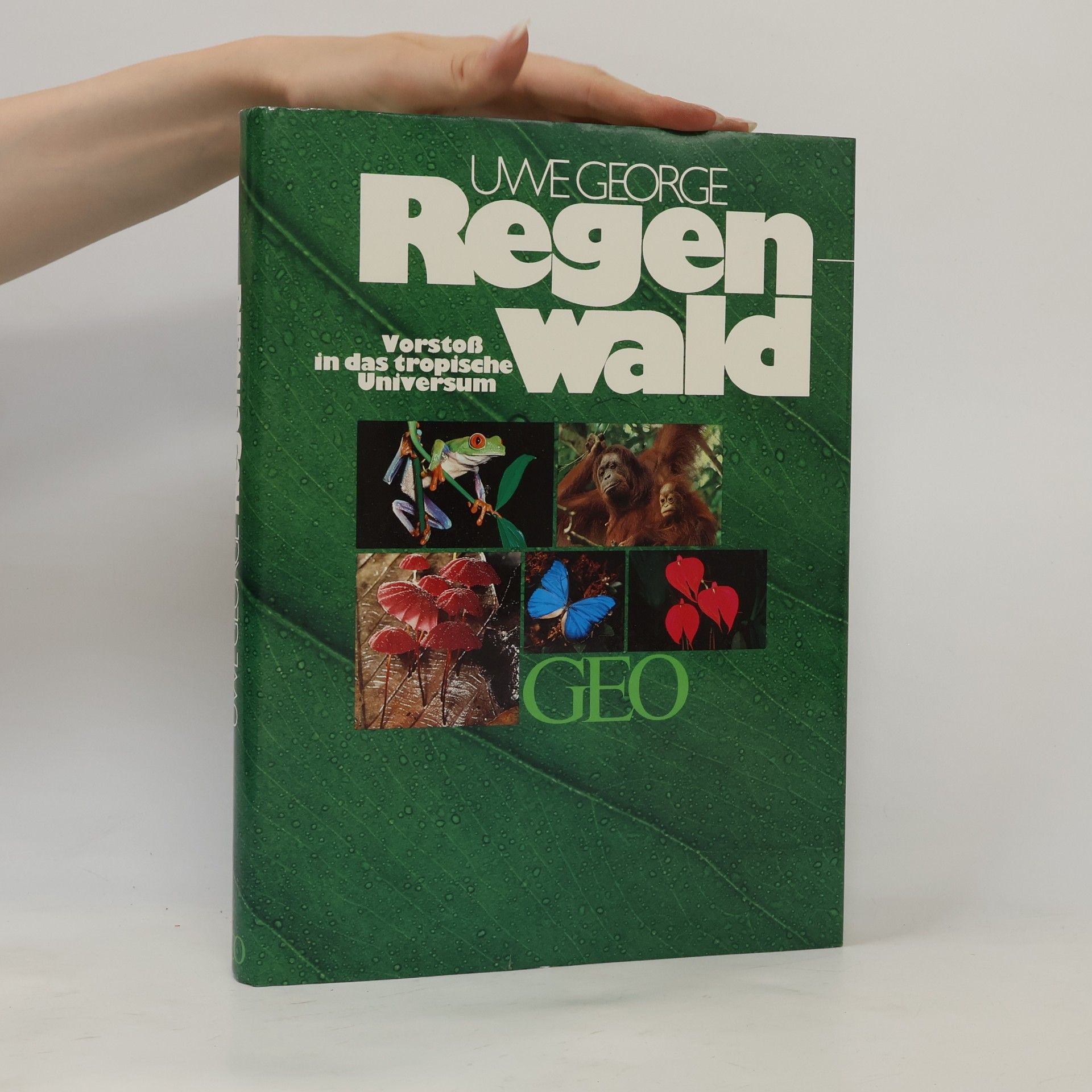 Uwe George Regenwald