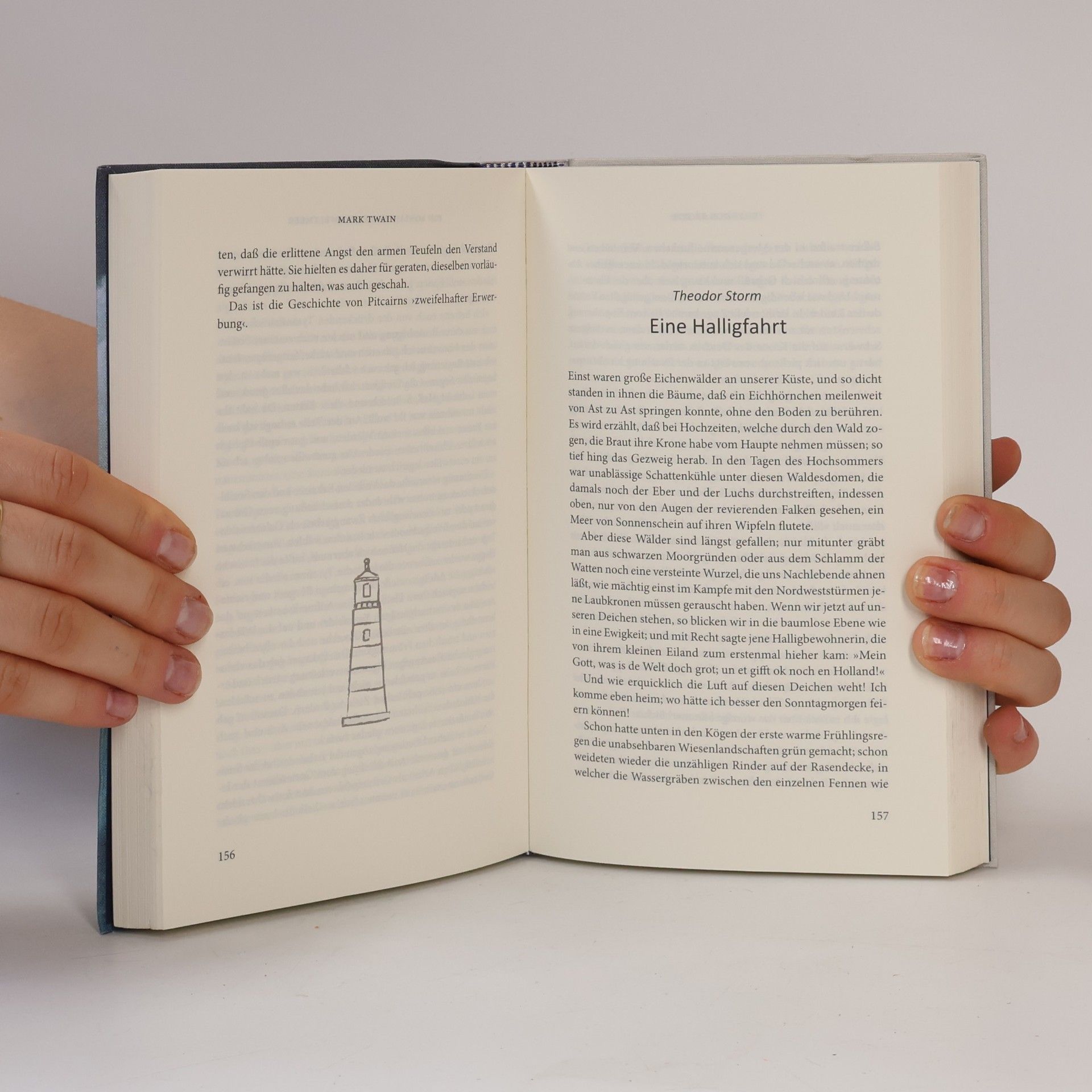 Gesa Holsten Das Insel LeseBuch