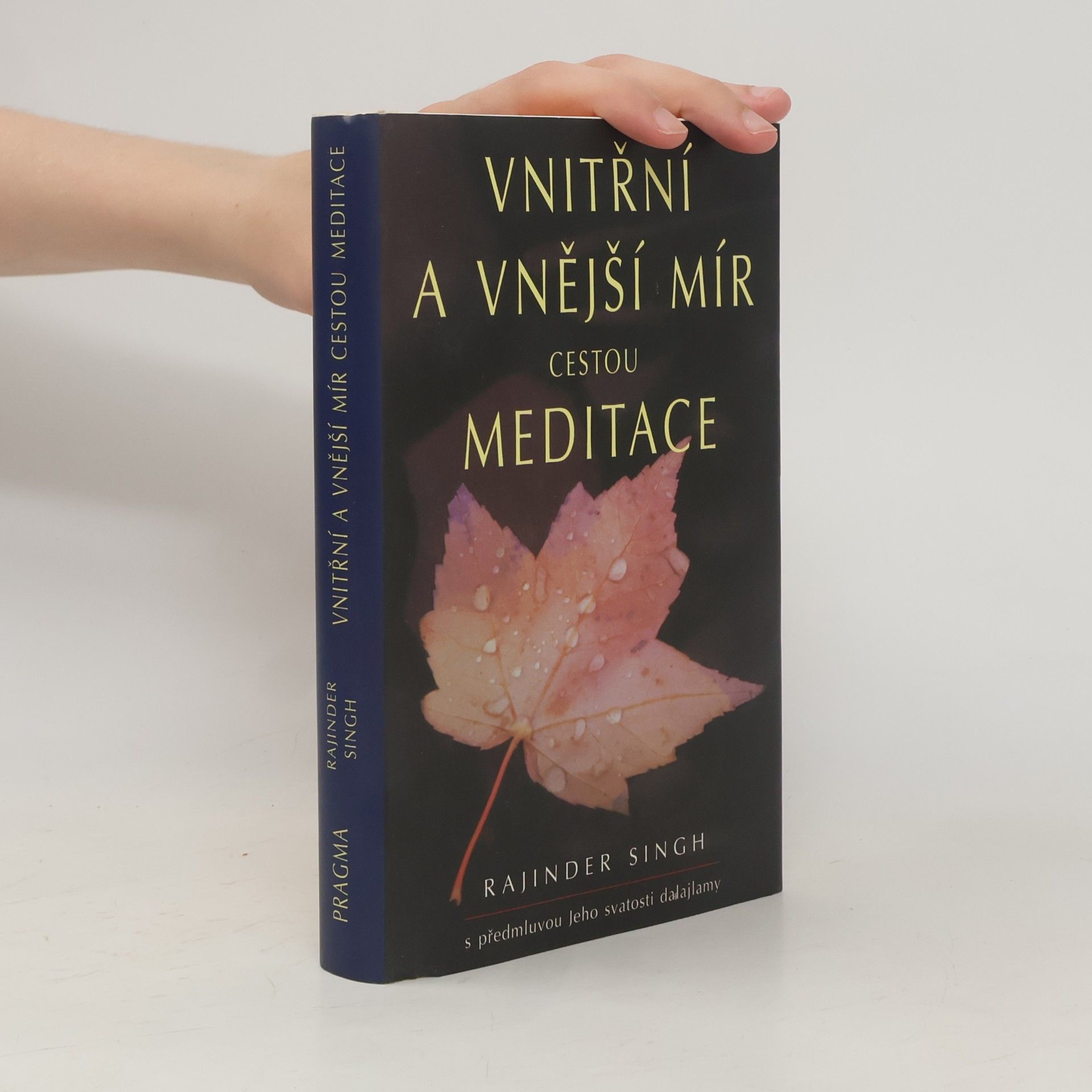 Rajinder Singh Vnitřní a vnější mír cestou meditace