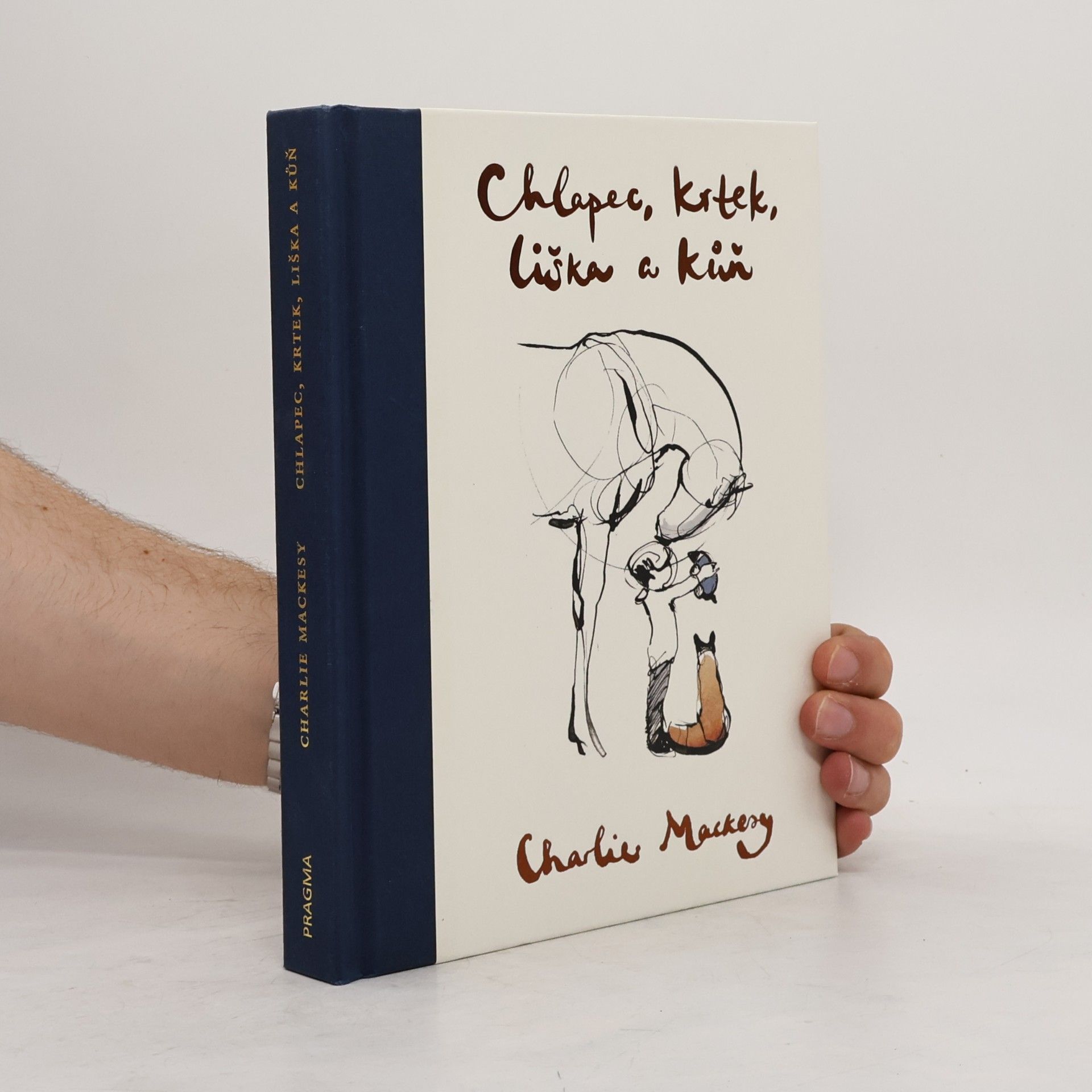 Charlie Mackesy Chlapec, krtek, liška a kůň