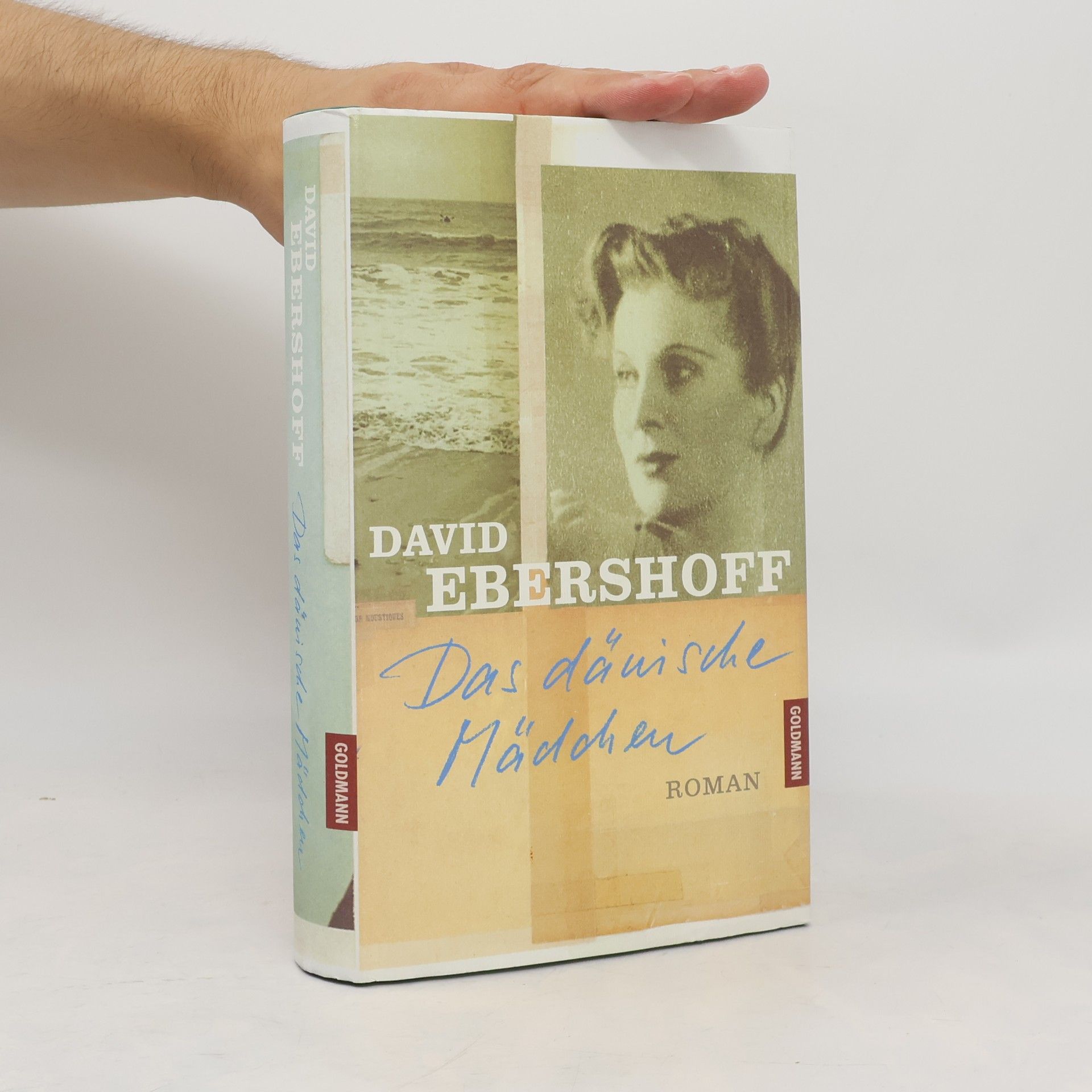 David Ebershoff Das dänische Mädchen