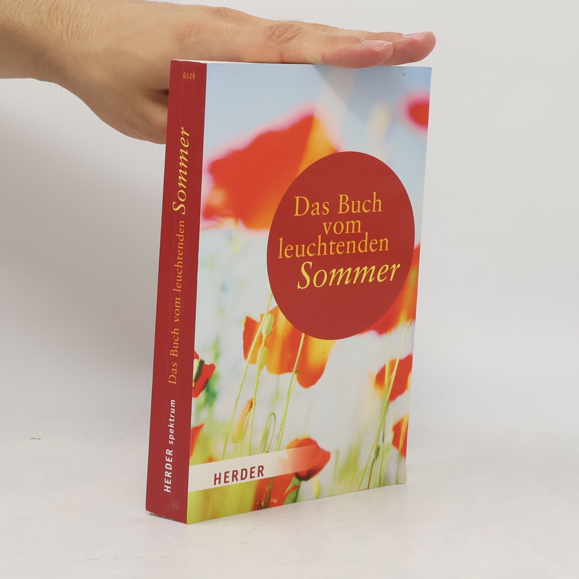Liane Dirks Das Buch vom leuchtenden Sommer