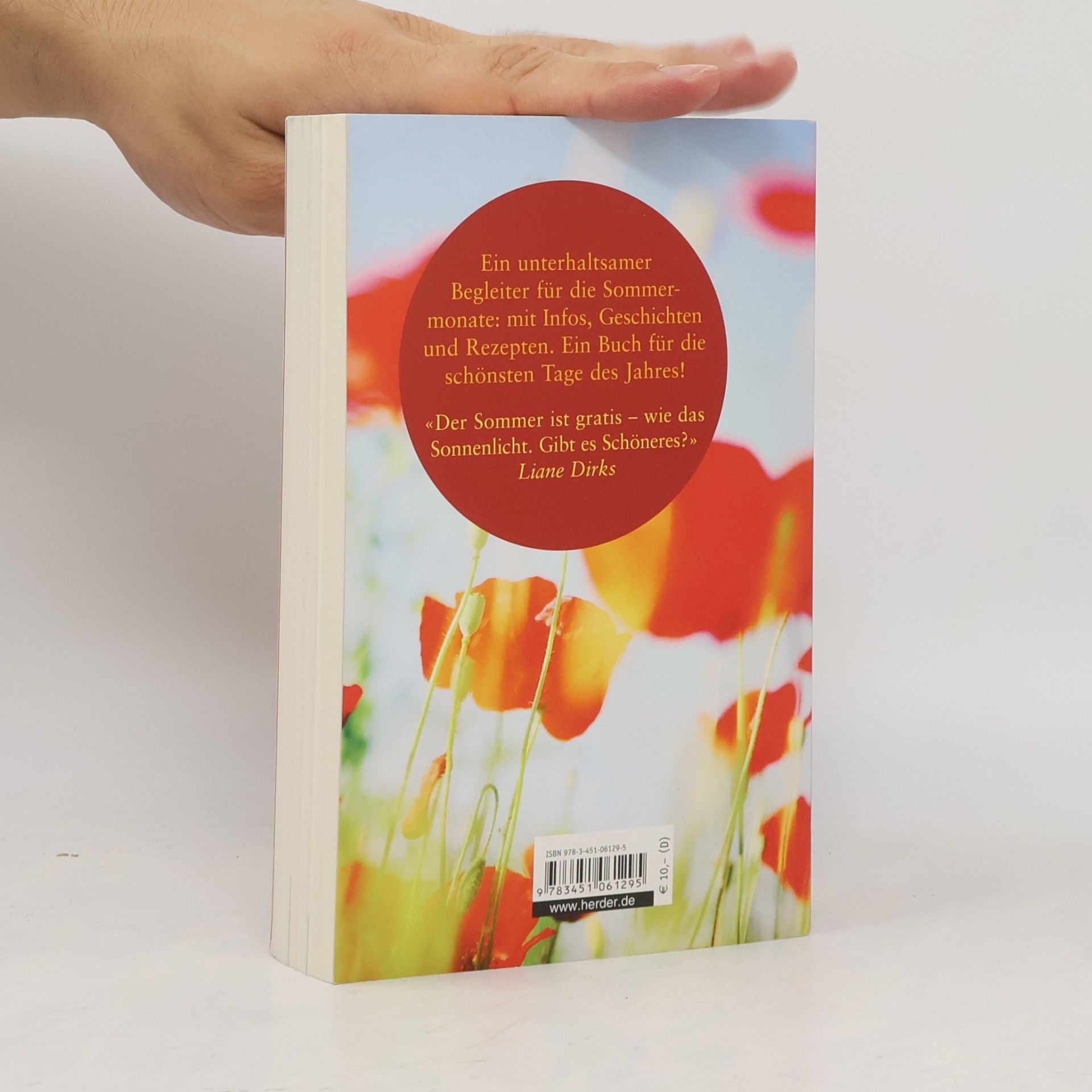 Liane Dirks Das Buch vom leuchtenden Sommer