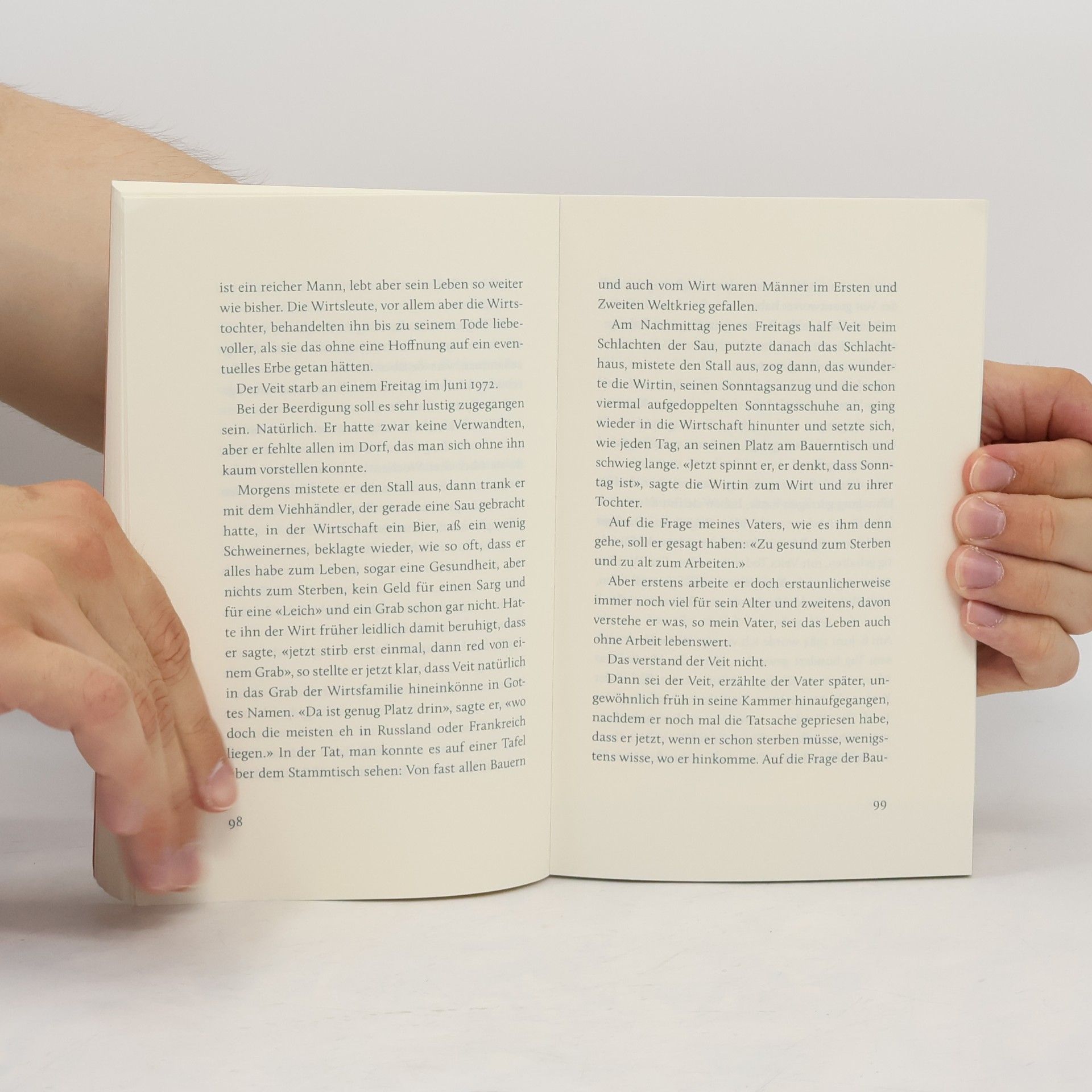 Liane Dirks Das Buch vom leuchtenden Sommer
