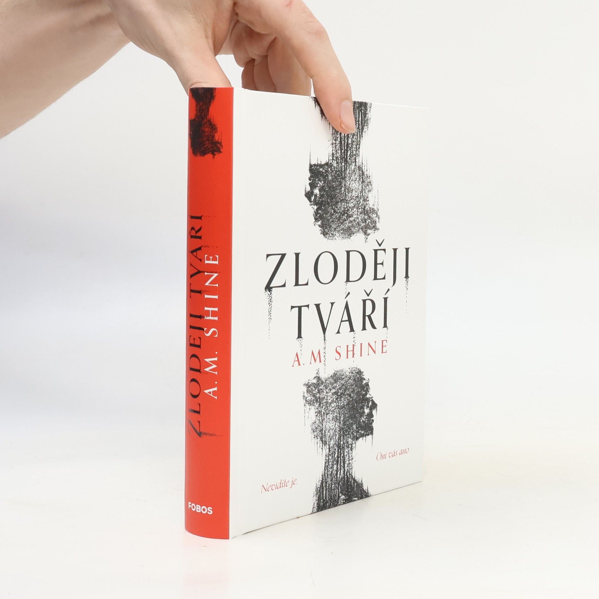 Kateřina Harrison Lipenská Zloději tváří