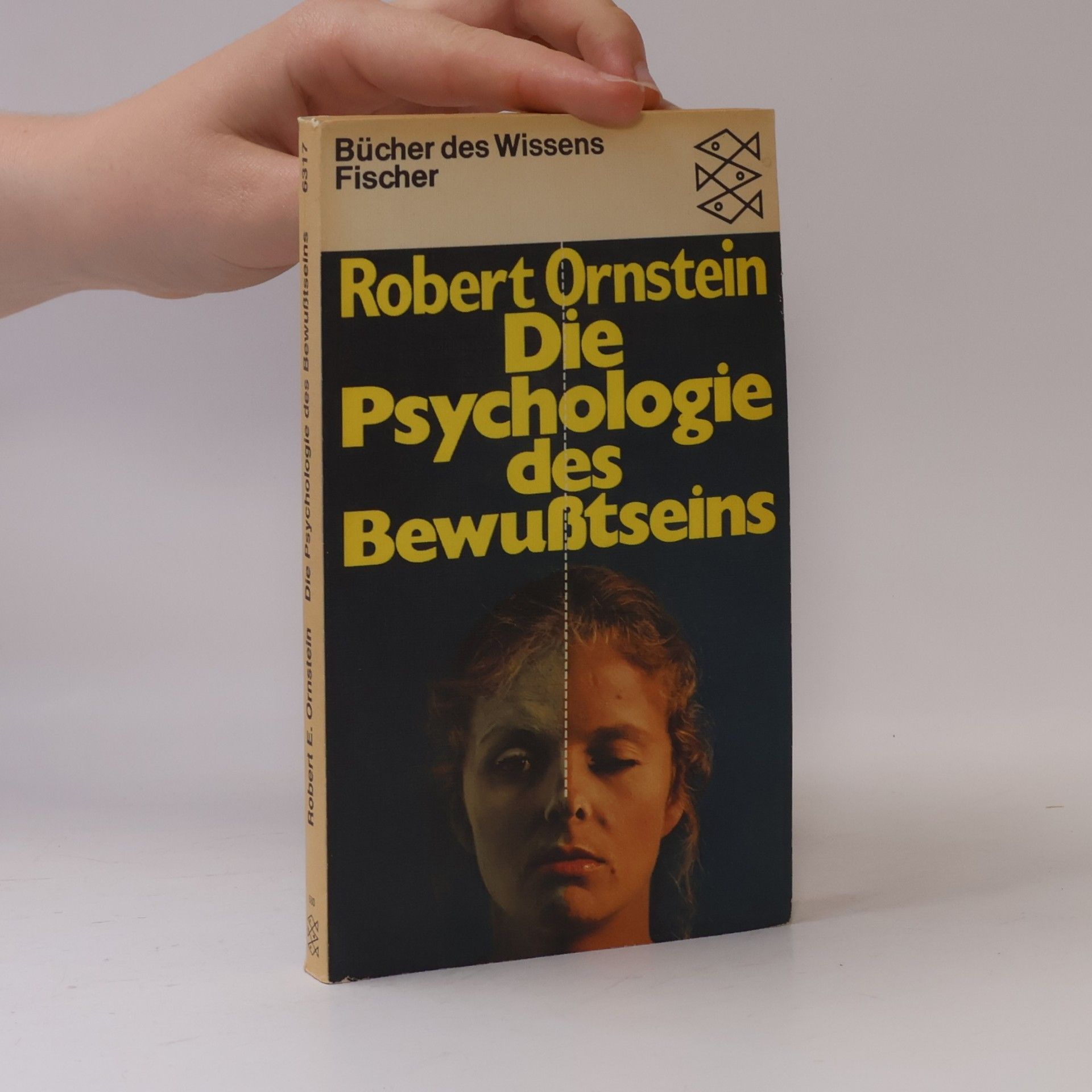 Die Psychologie des Bewusstseins