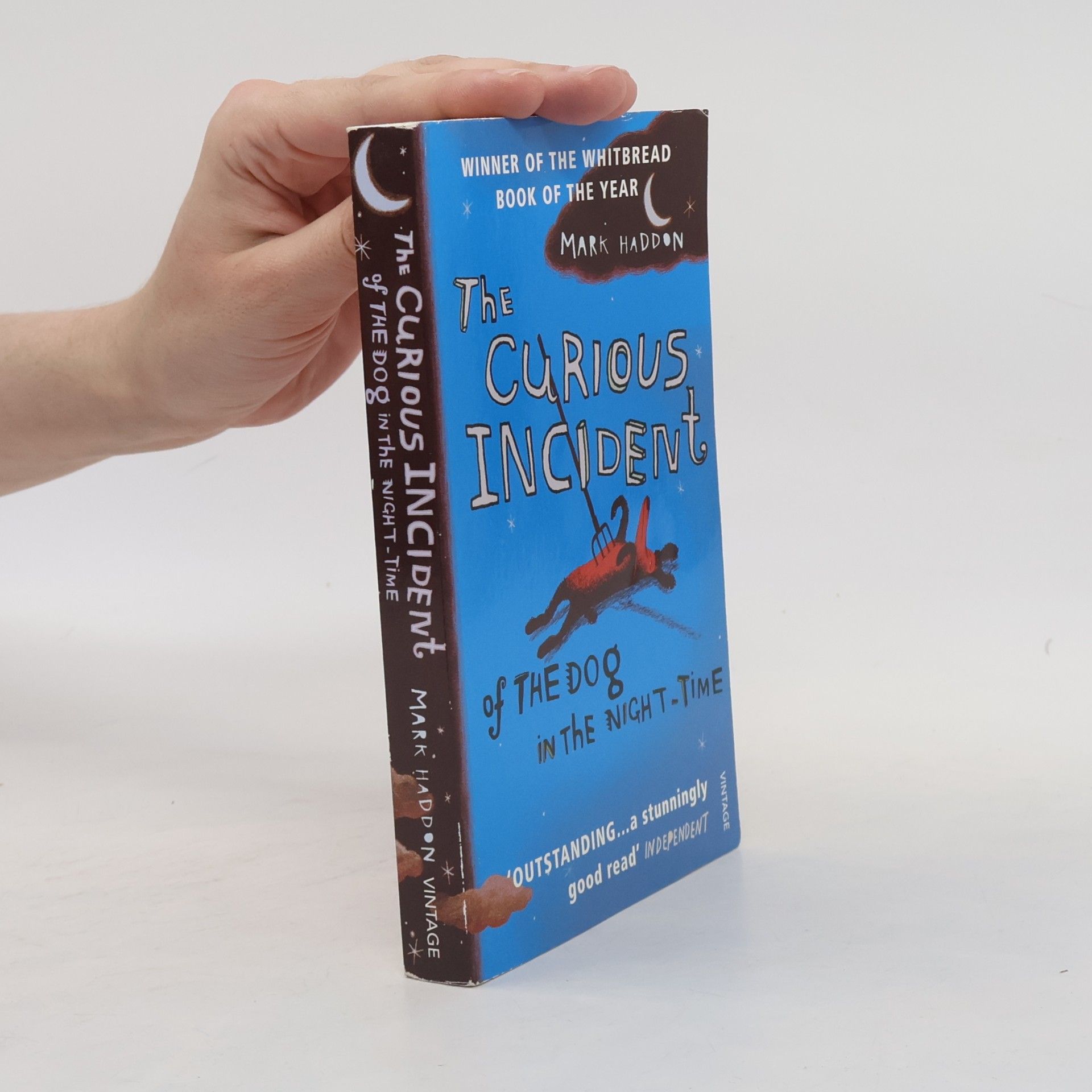Mark Haddon The Curious Incident of The Dog in The Night-Time