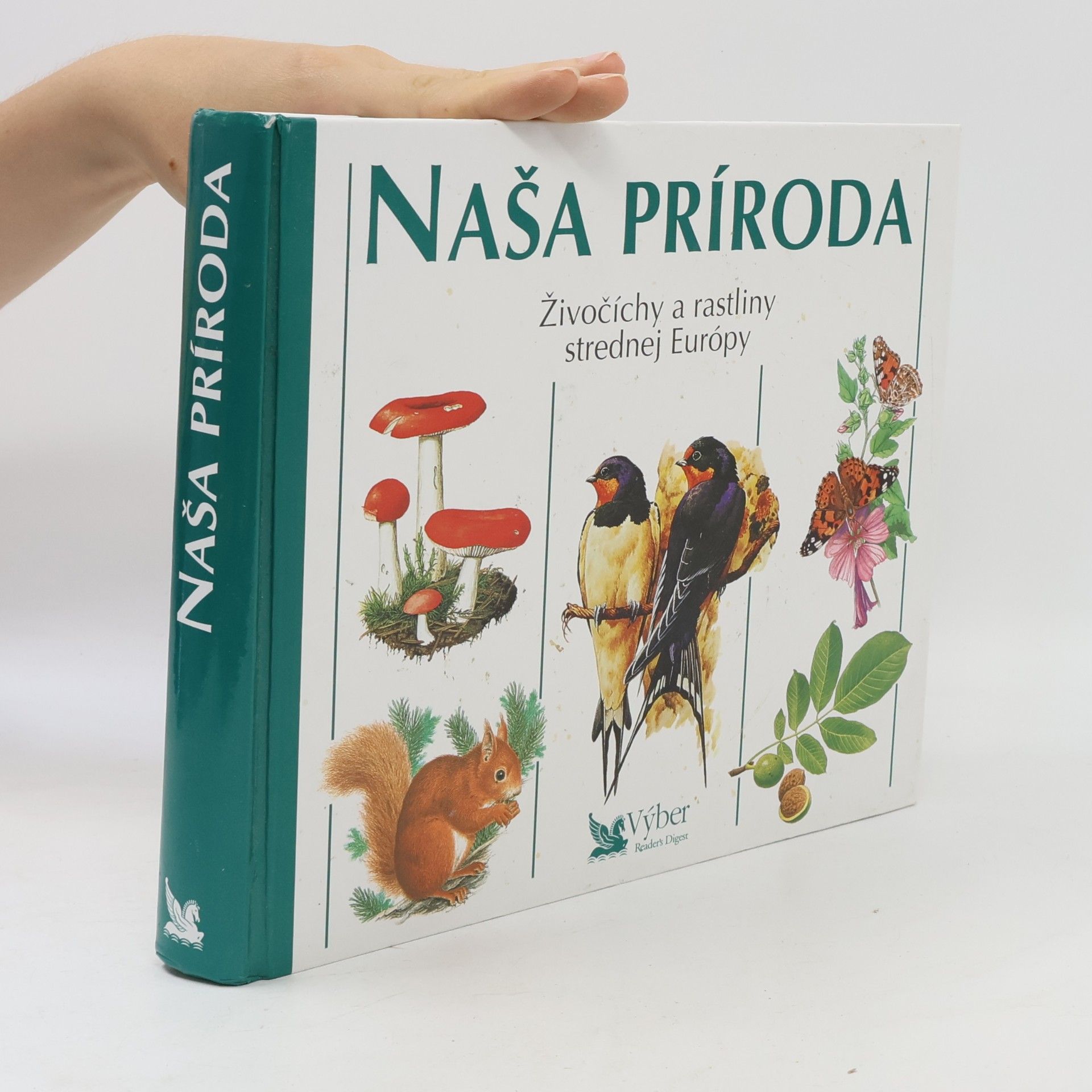 Autorenkollektiv Naša príroda