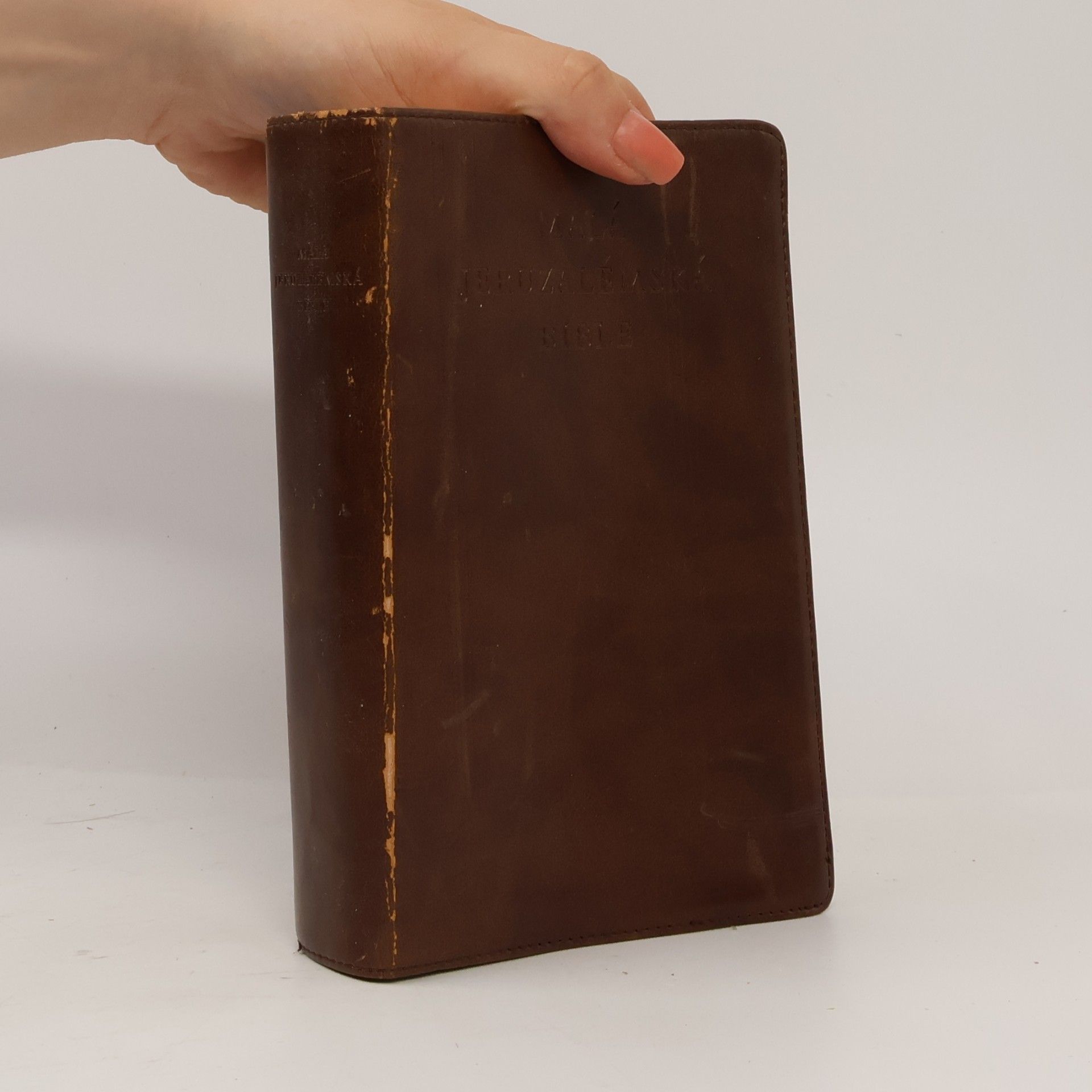 Dagmar Halasová Malá Jeruzalémská bible