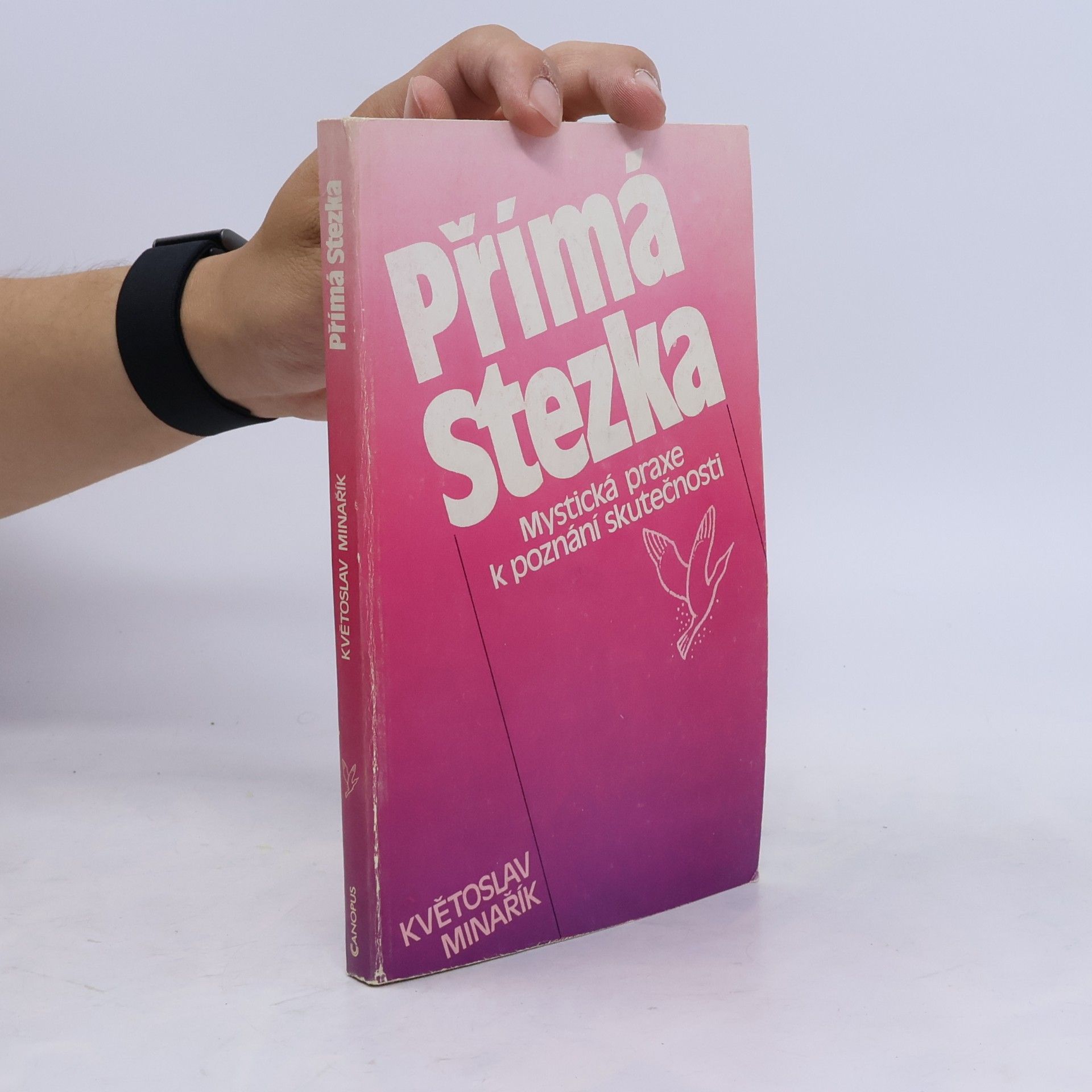 Květoslav Minařík Přímá stezka