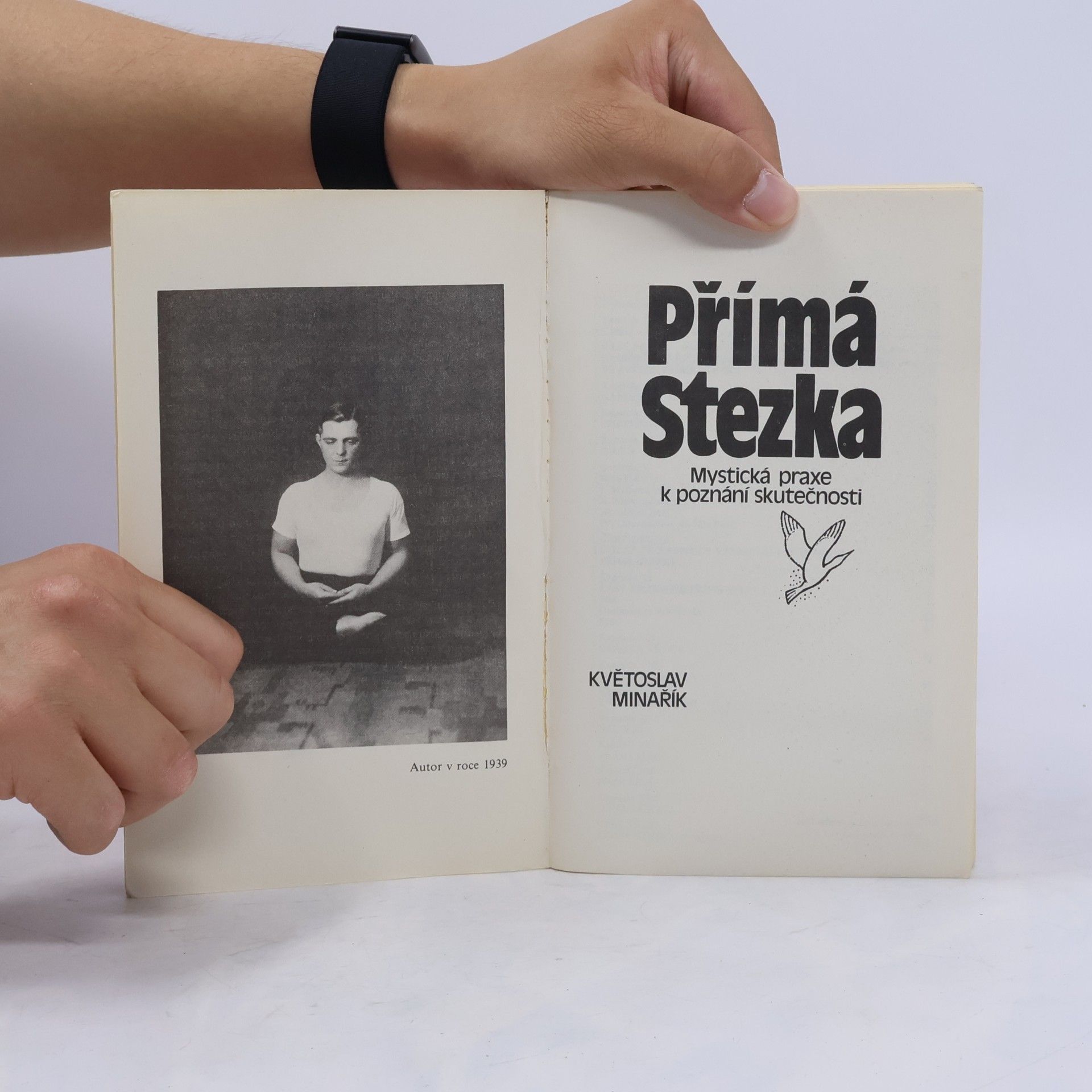 Květoslav Minařík Přímá stezka