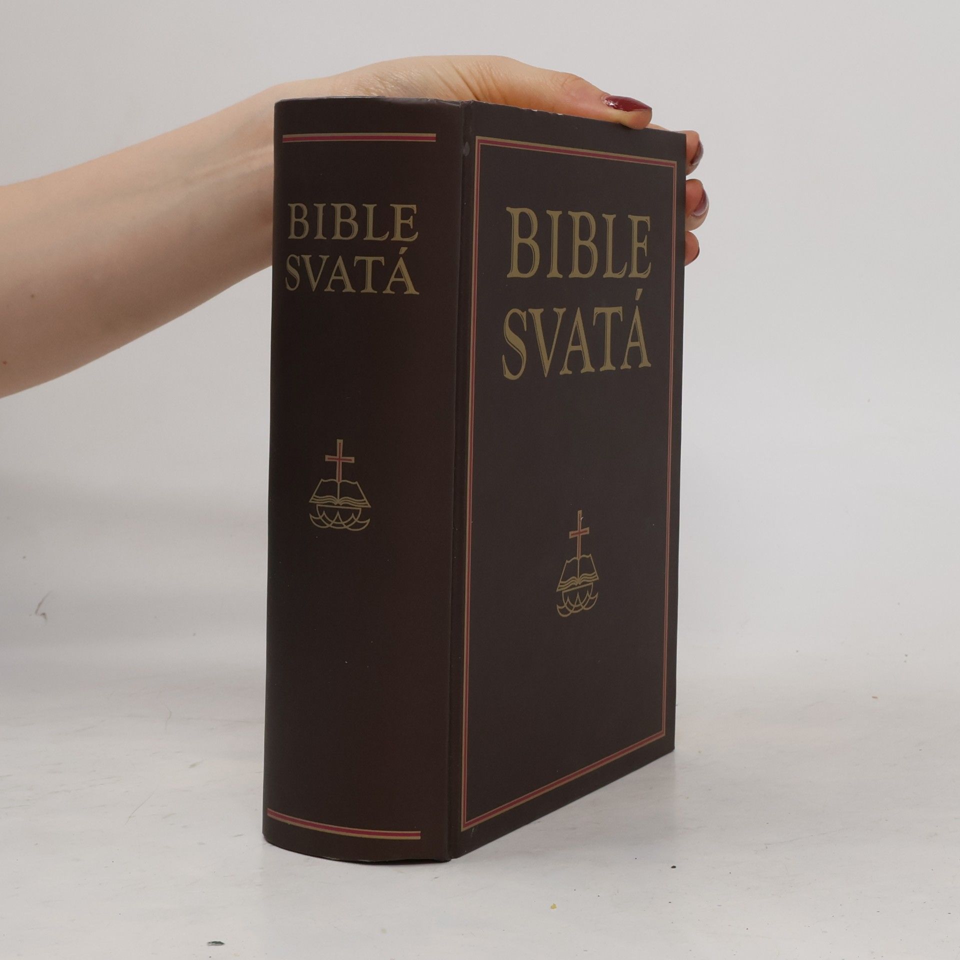 Autorenkollektiv Bible svatá aneb všecka svatá písma Starého i Nového zákona