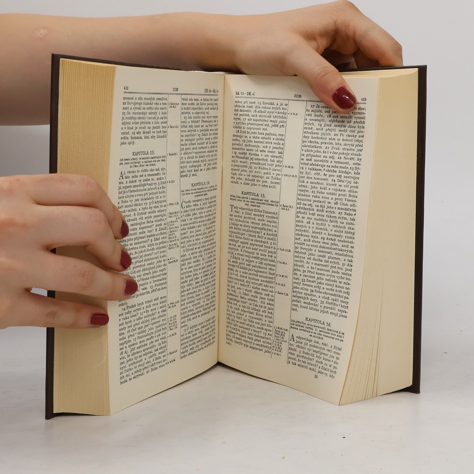 Kolektiv autorů Bible svatá aneb všecka svatá písma Starého i Nového zákona