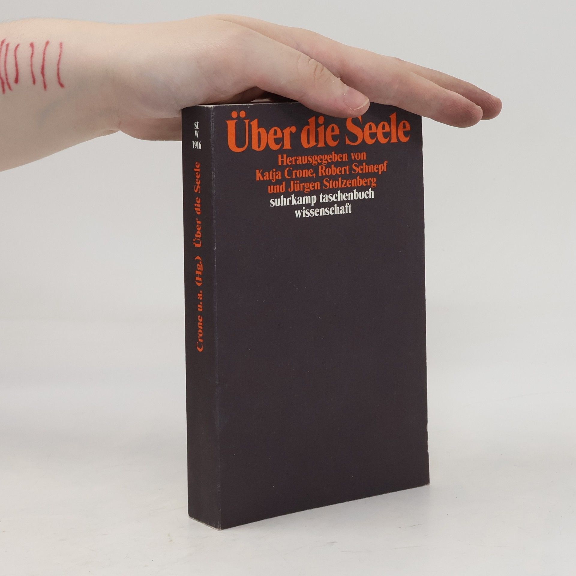 Jürgen Stolzenberg Suhrkamp Taschenbuch Wissenschaft - 1916: Über die Seele