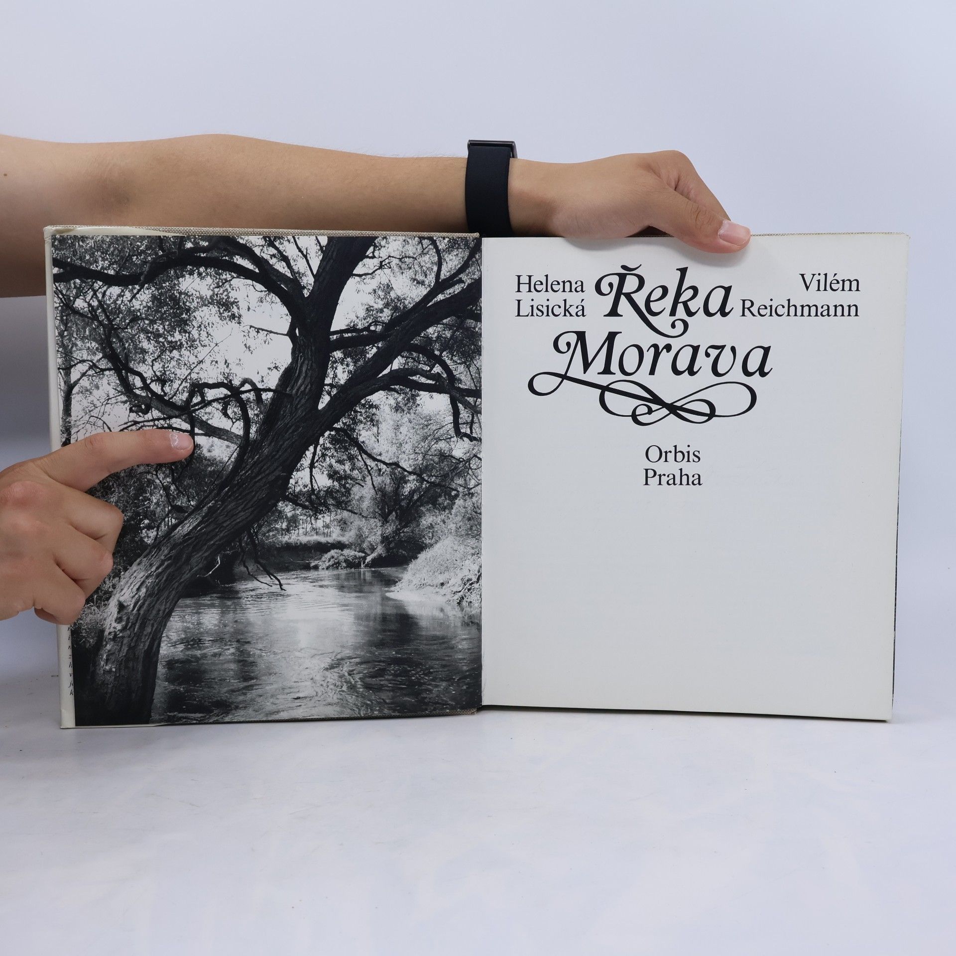 Helena Lisická Řeka Morava