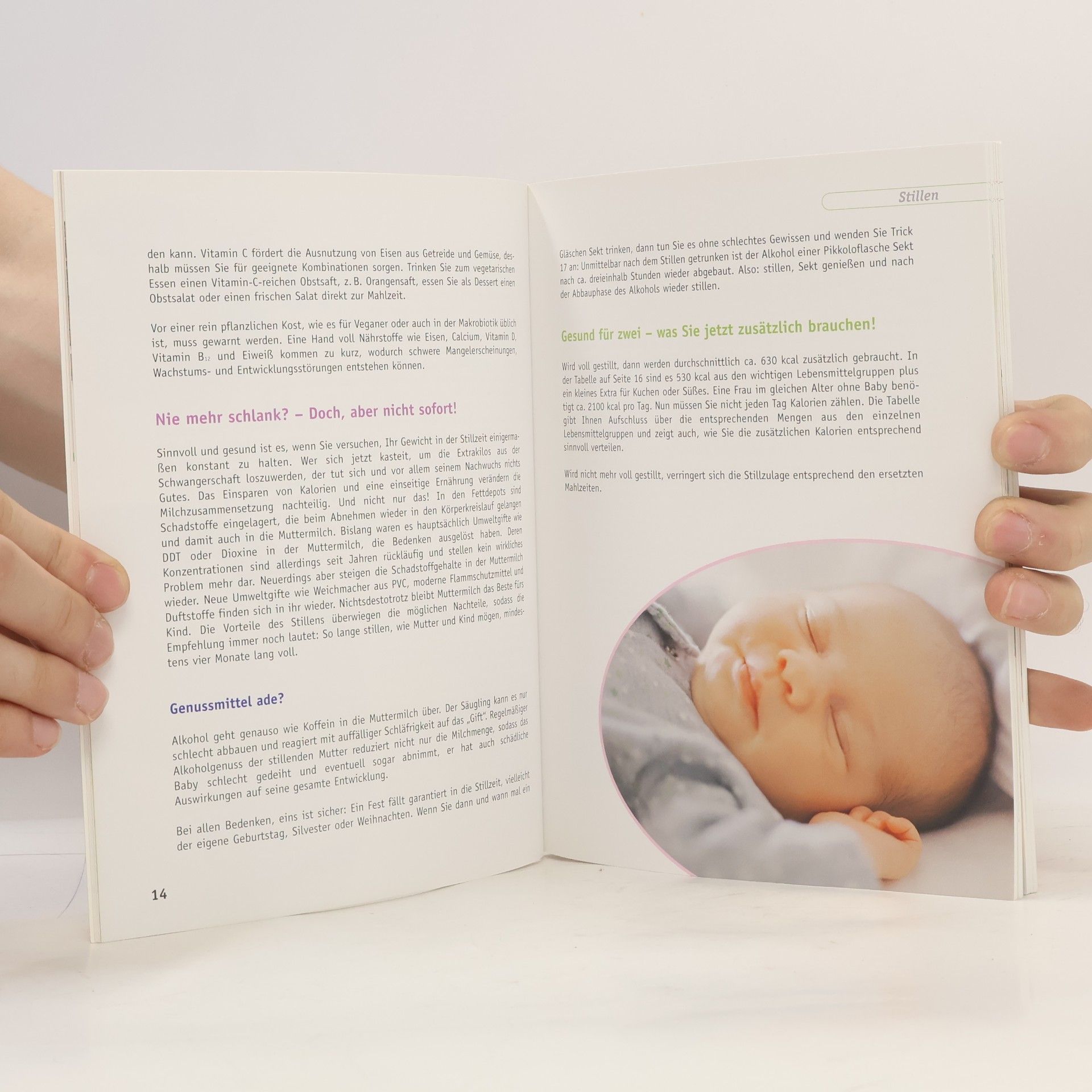 Kordula Werner Die gesunde Babyküche