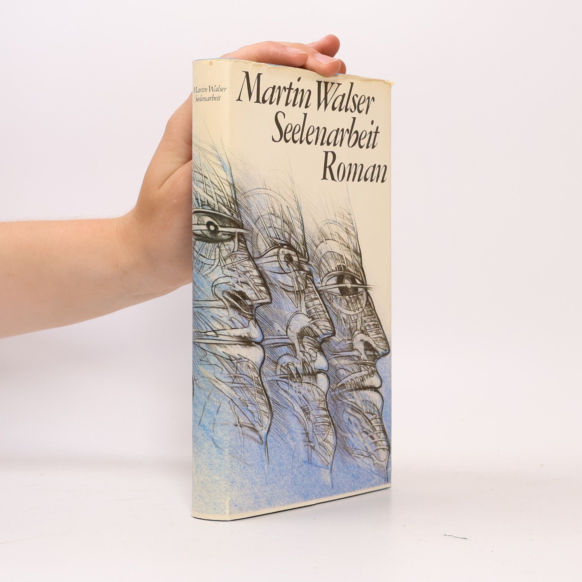 Martin Walser Seelenarbeit
