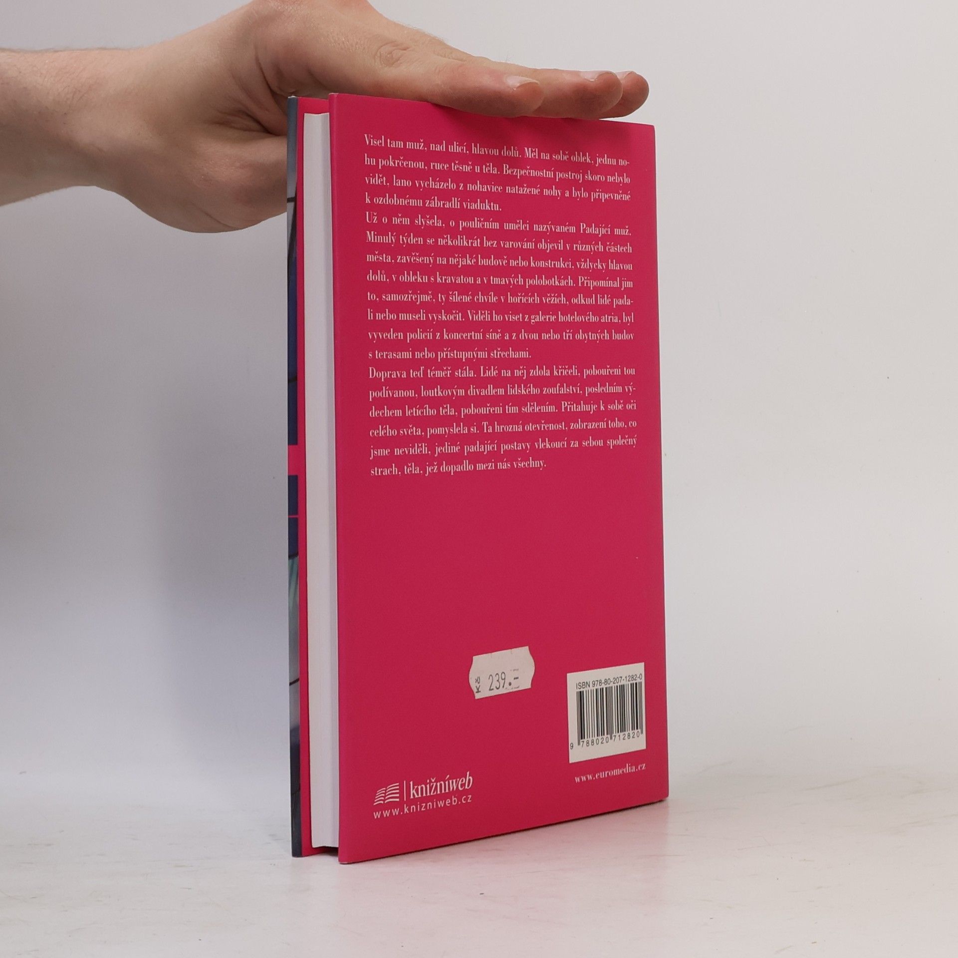 Don DeLillo Padající muž