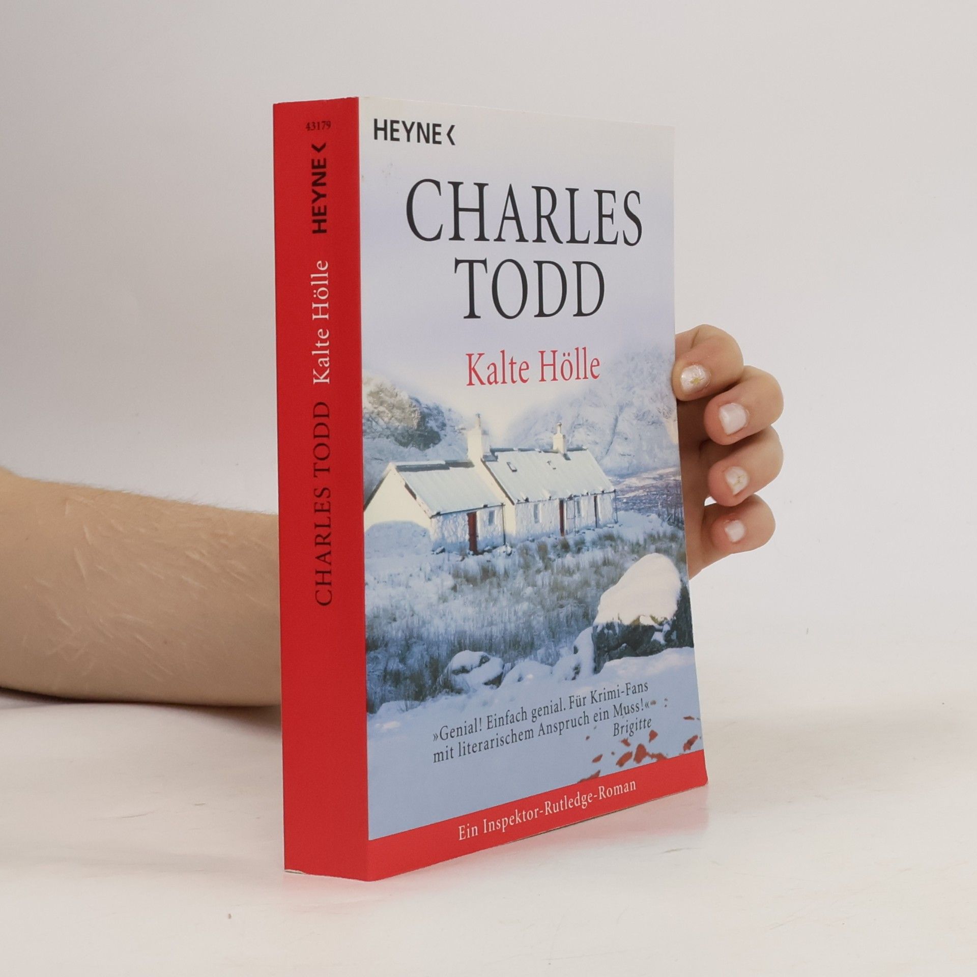 Charles Todd Kalte Hölle