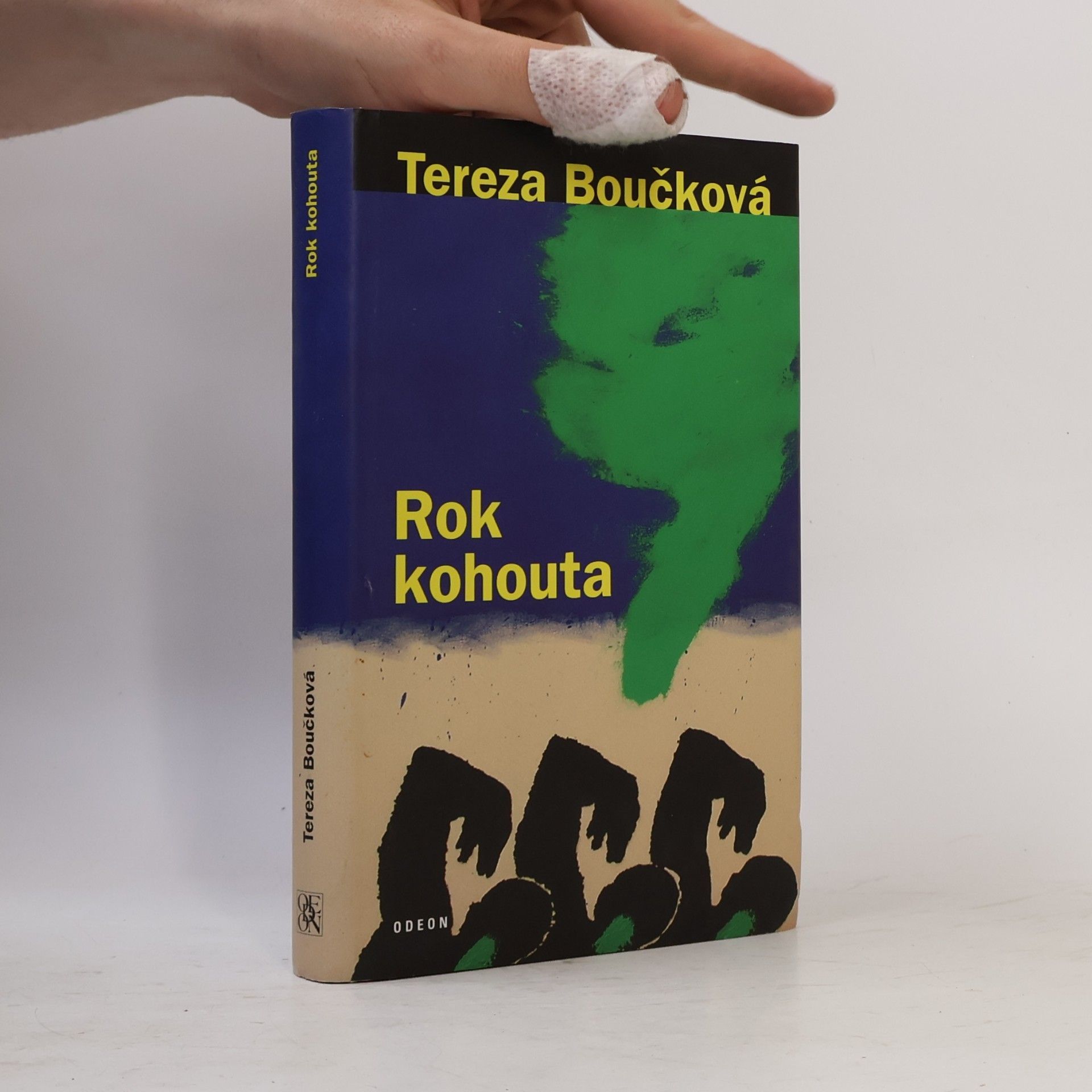 Tereza Boučková Rok kohouta