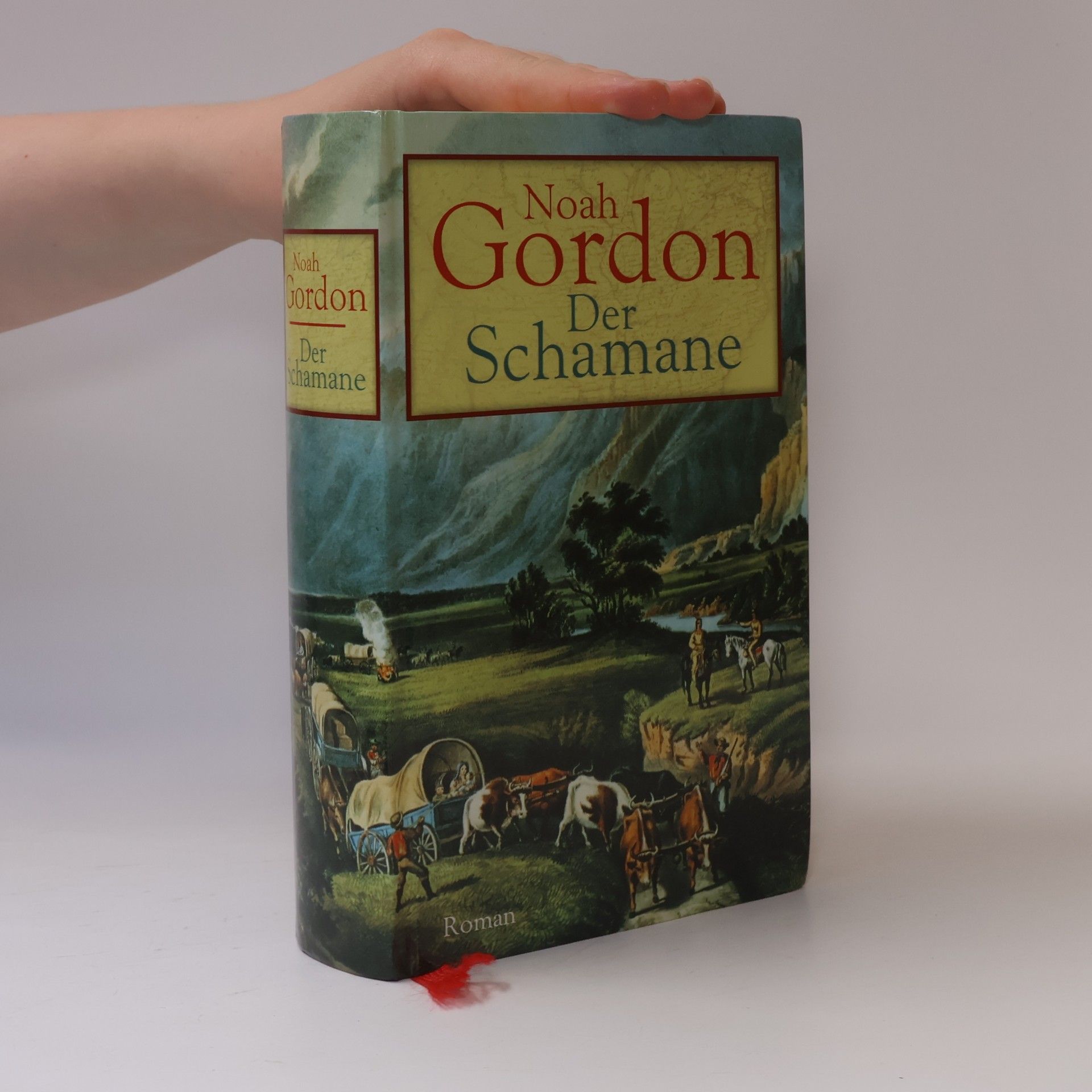 Noah Gordon Der Schamane