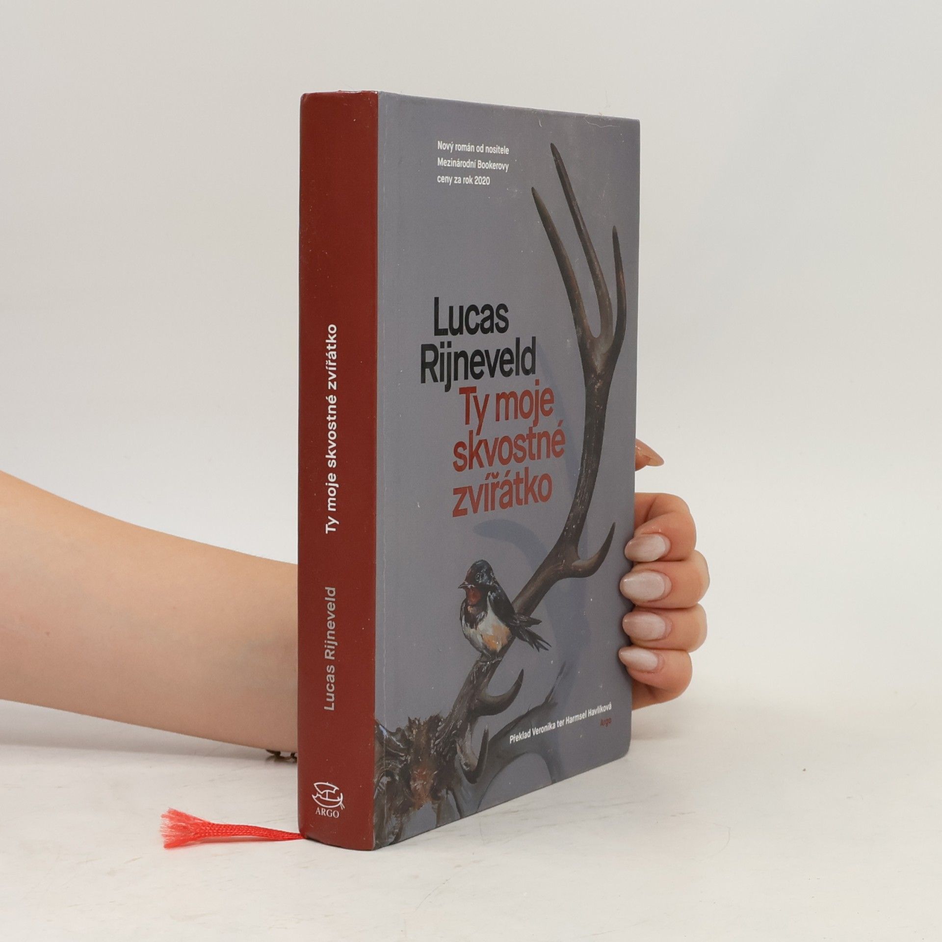 Lucas Rijneveld Ty moje skvostné zvířátko