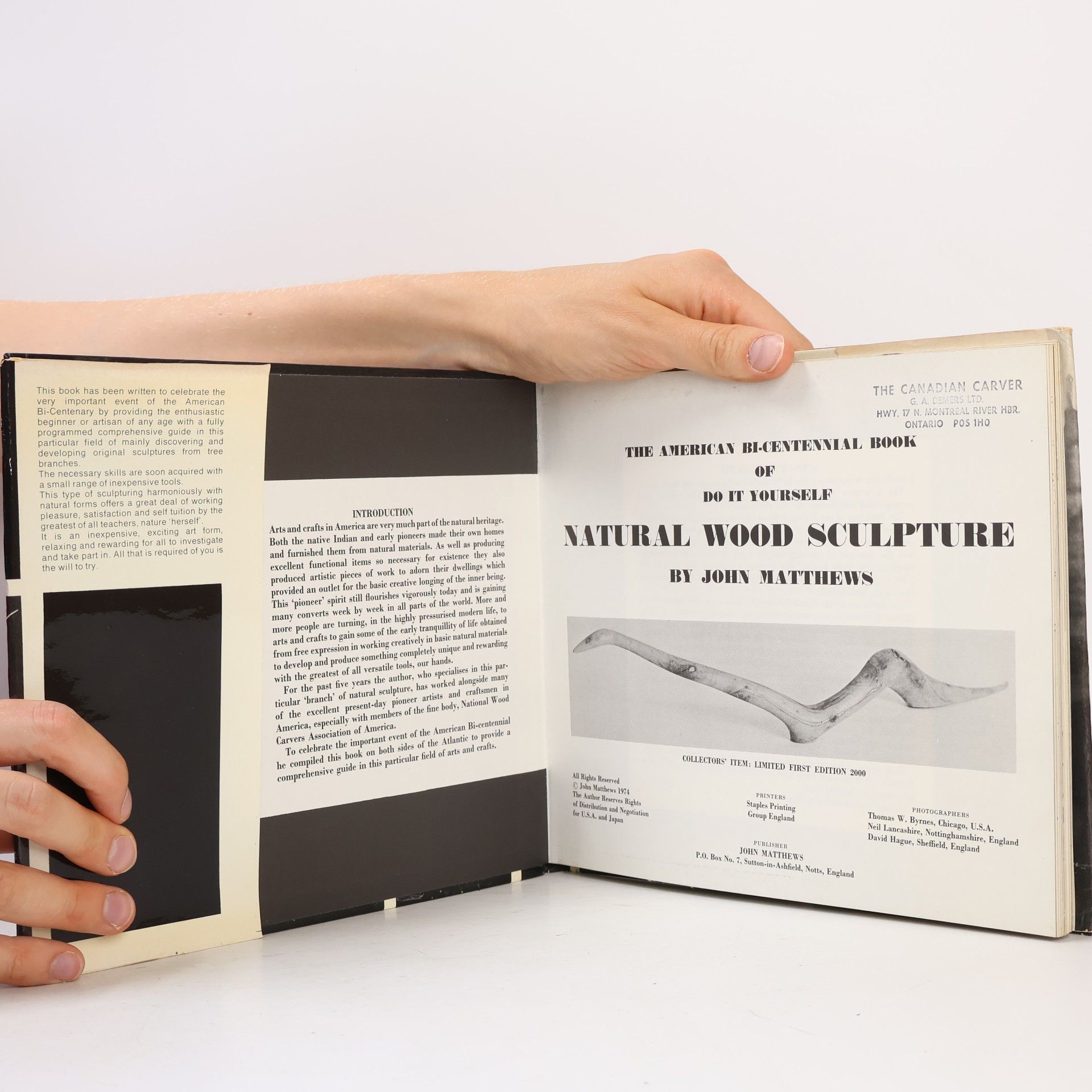 John Matthews The American Bi-Centennial Book of Do It Yourself Natural Wood Sculpture