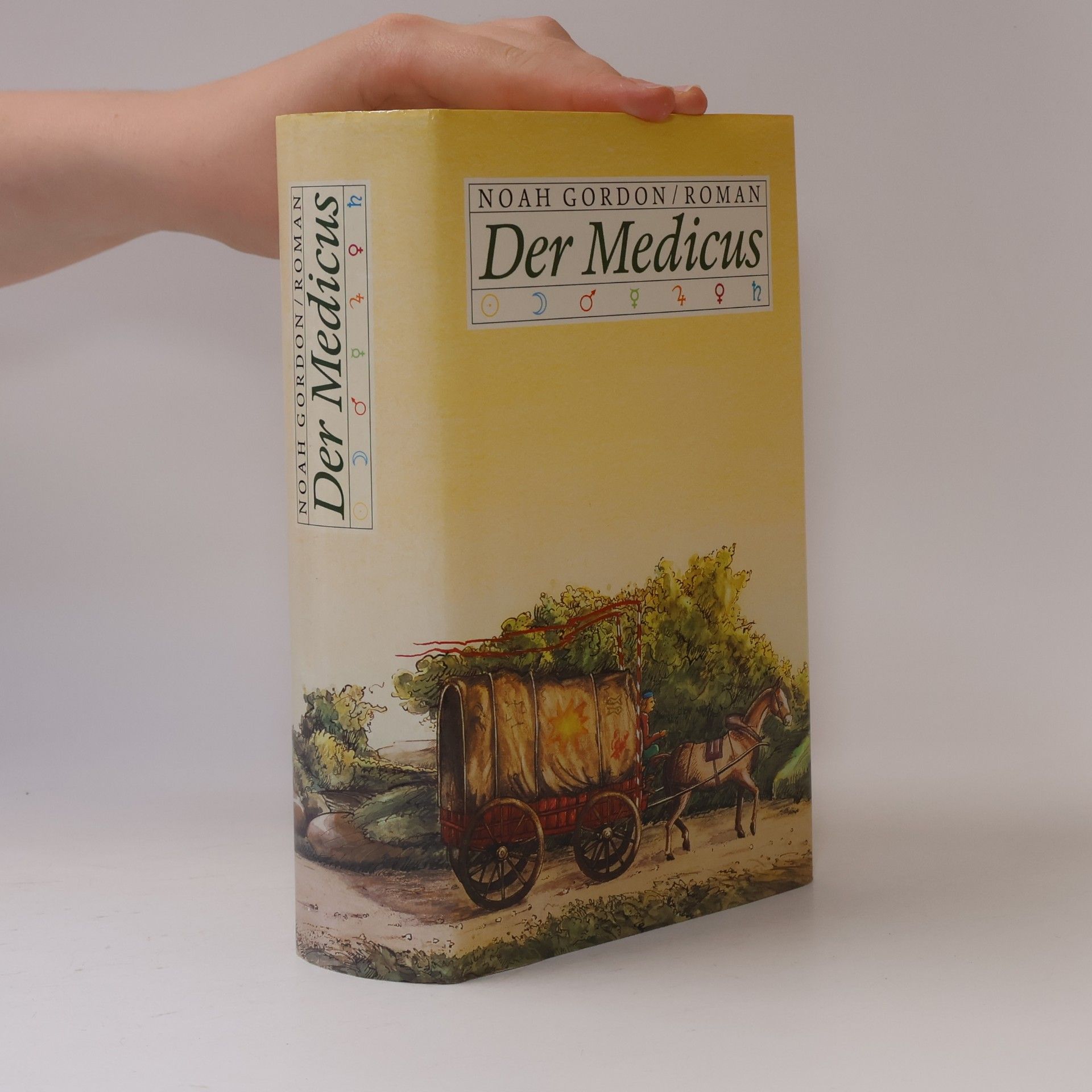 Noah Gordon Der Medicus