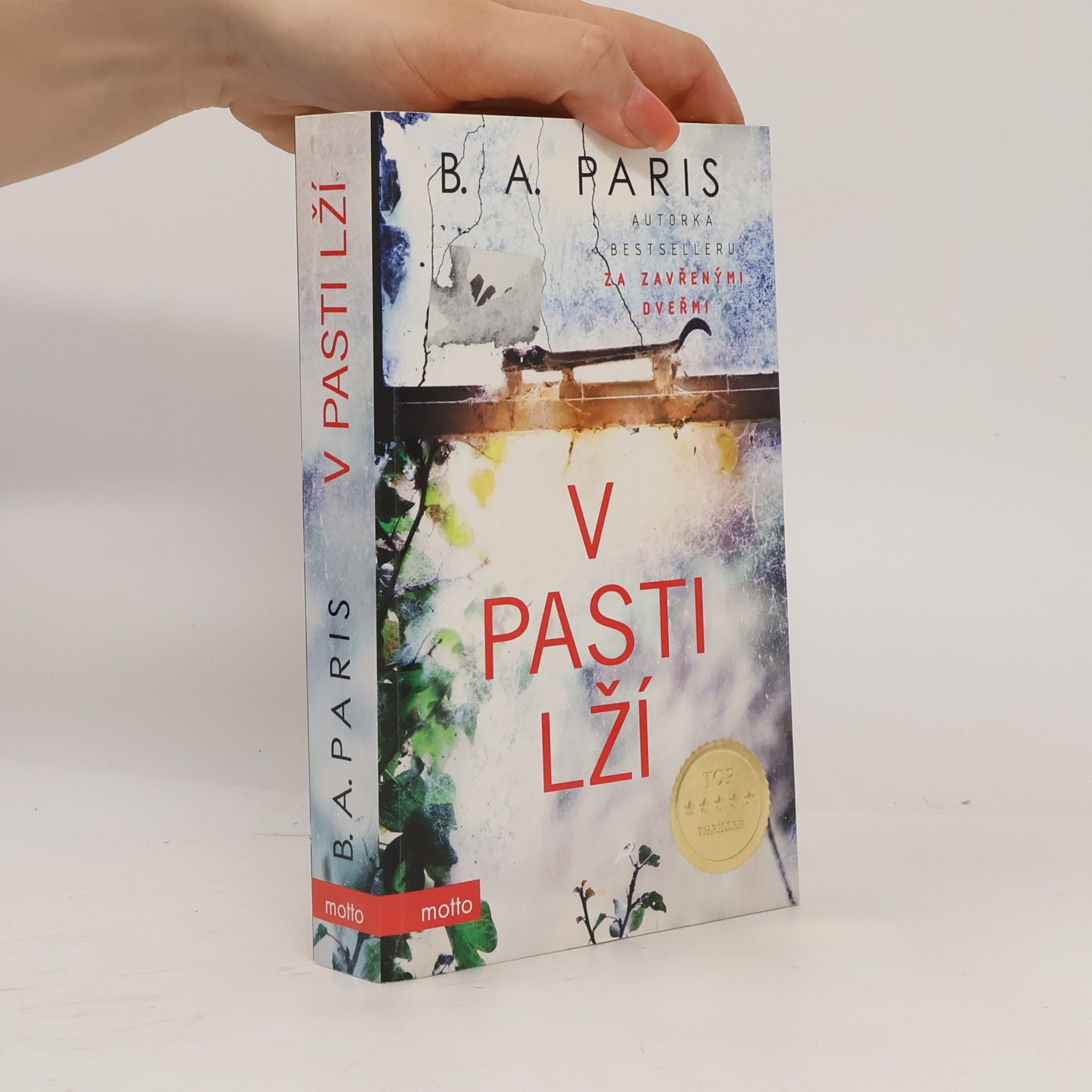 B.A. Paris V pasti lží