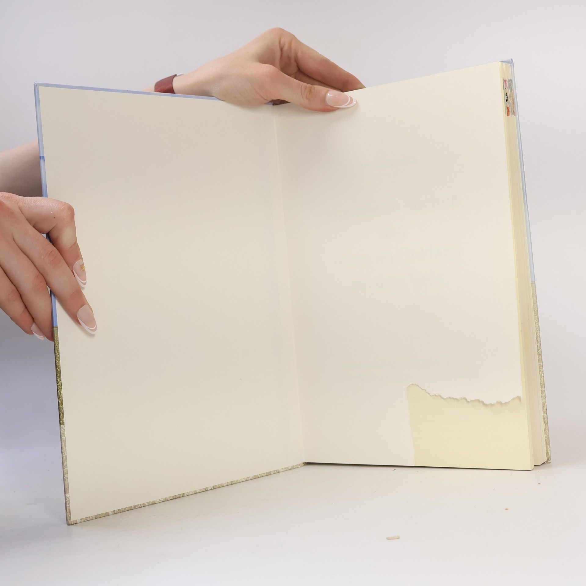 Frank W. Lotz Himmlisch kochen und Leben im Einklang mit dem Veda