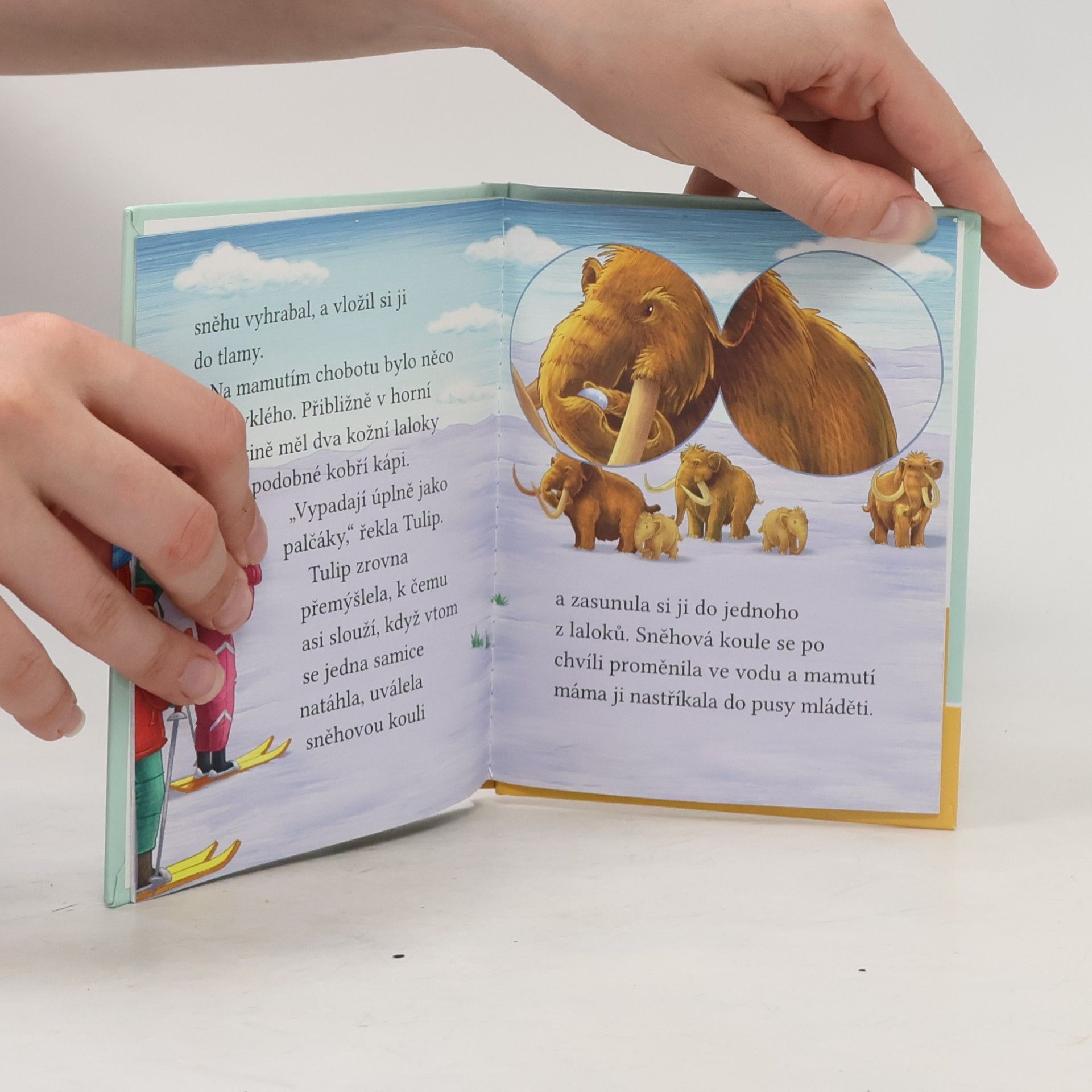 Cressida Cowell Stromovic dvojčata a jejich dobrodružství v divočině. Dvojčata putují s mamutem srstnatým