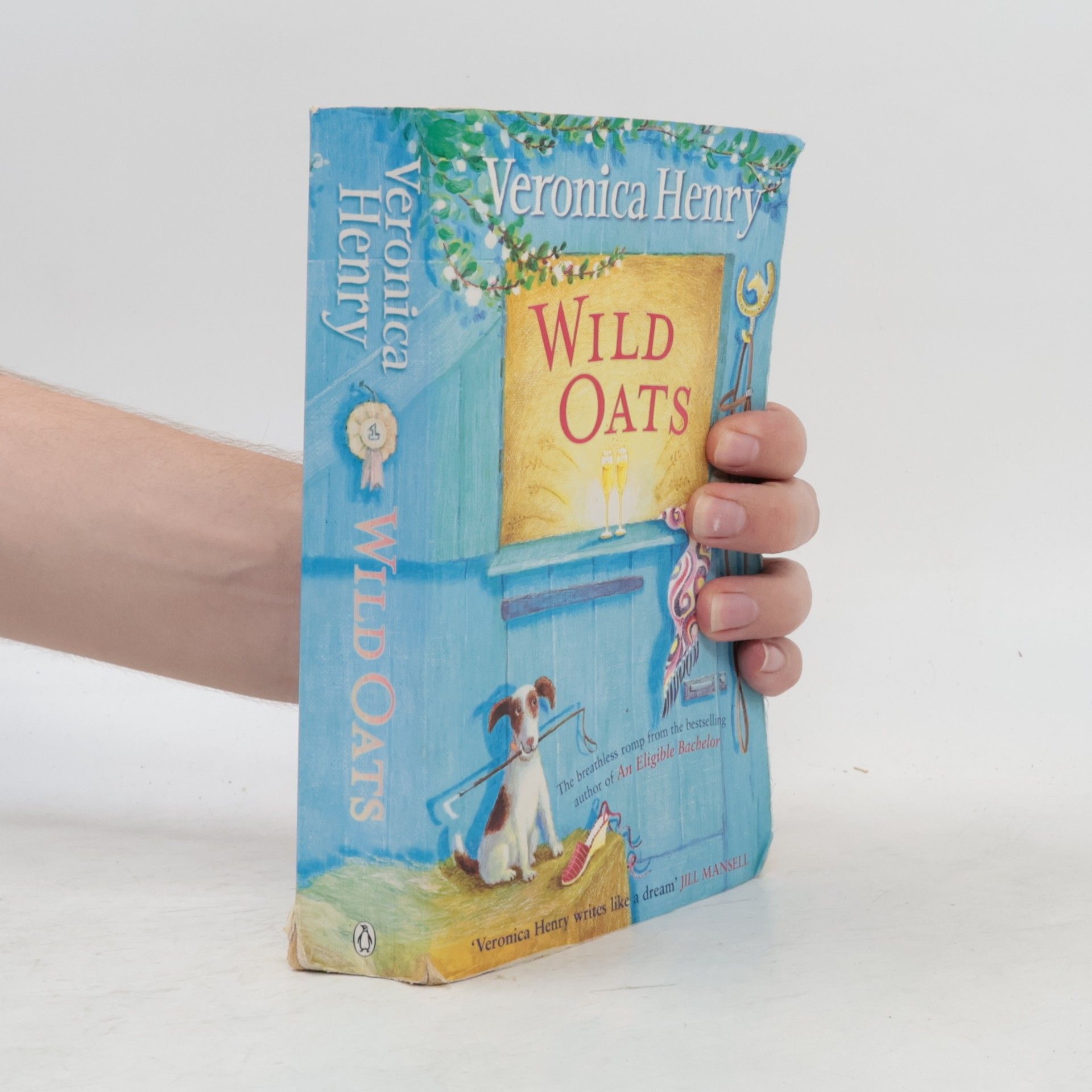 Veronica Henry Wild Oats