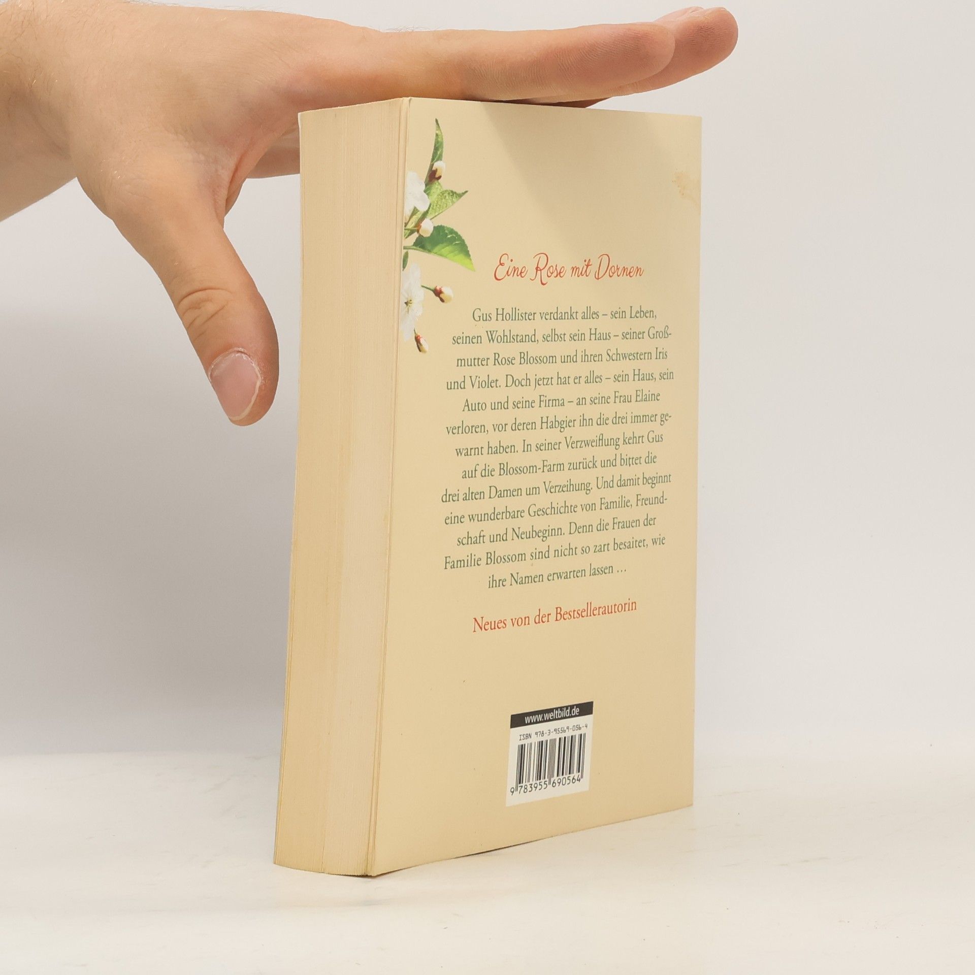 Fern Michaels Rückkehr nach Blossom Farm