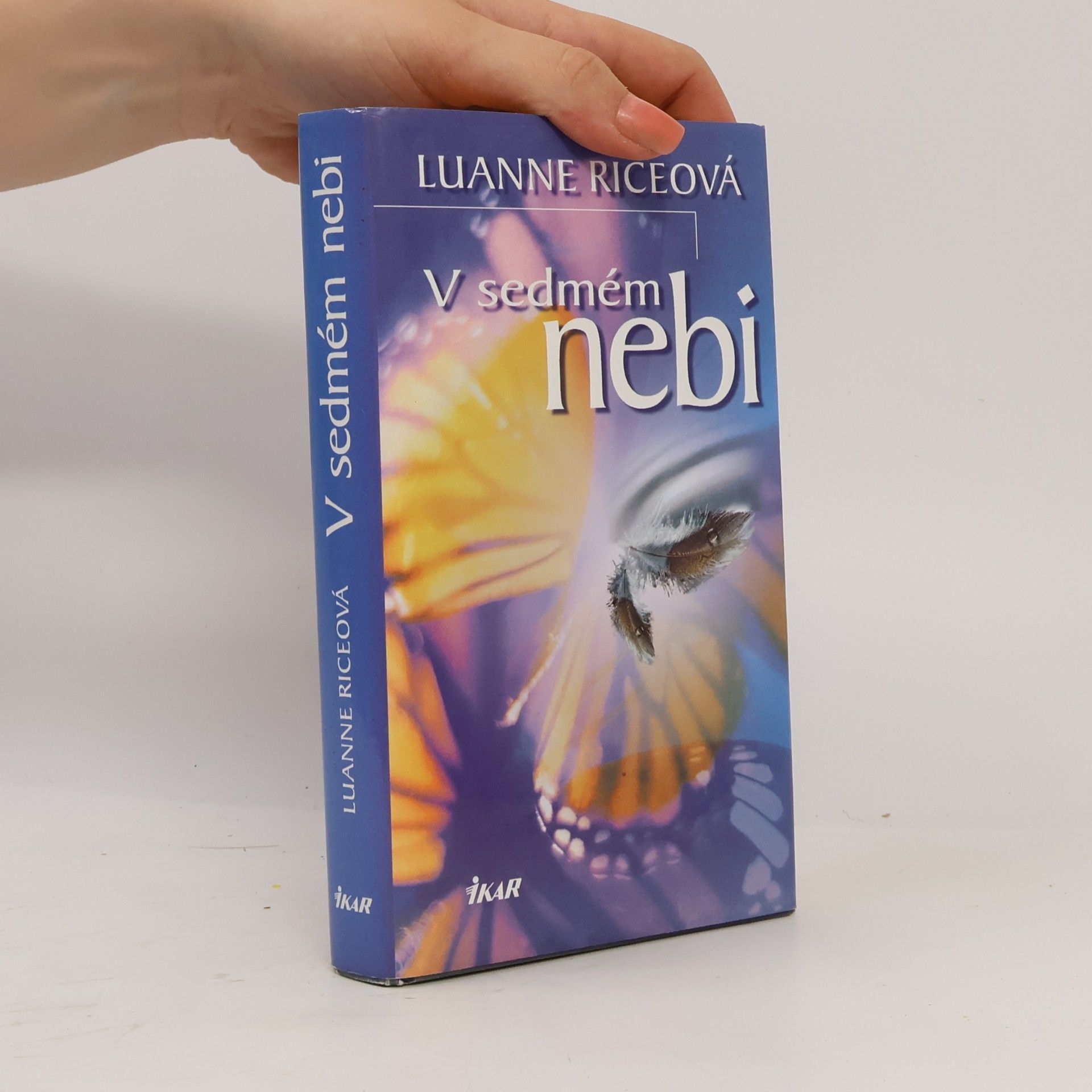 Luanne Rice V sedmém nebi
