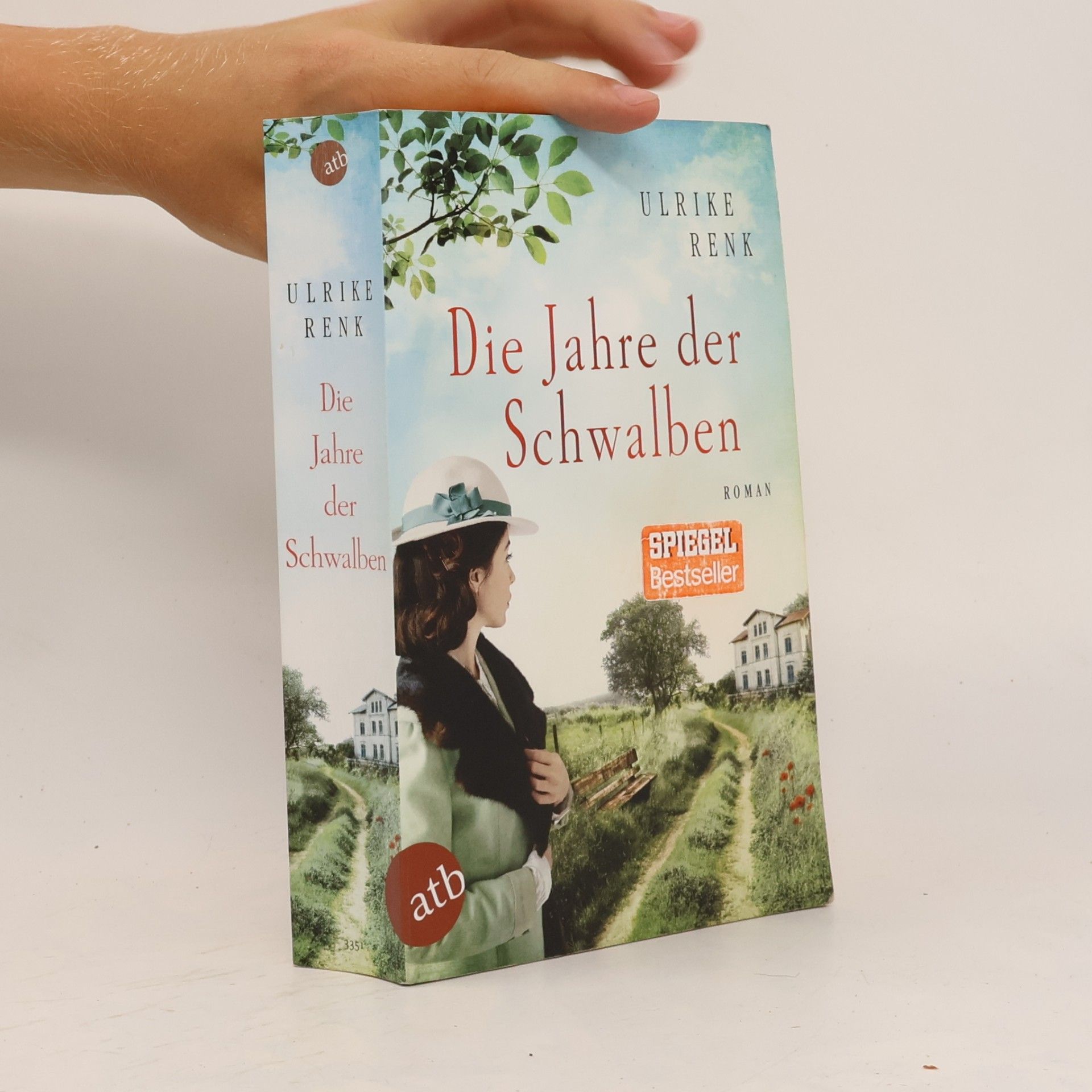 Ulrike Renk Die Jahre der Schwalben