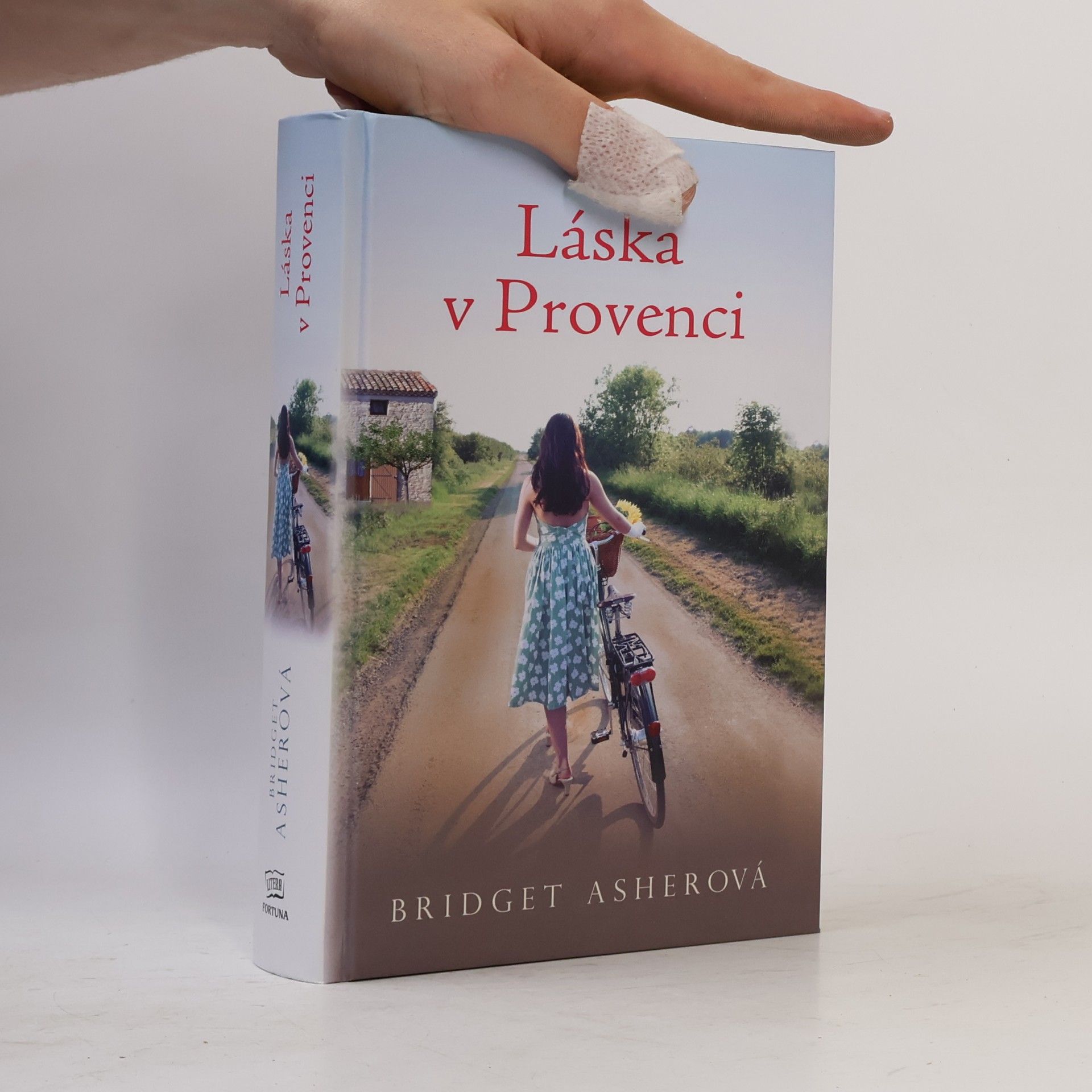 Bridget Asher Láska v Provenci
