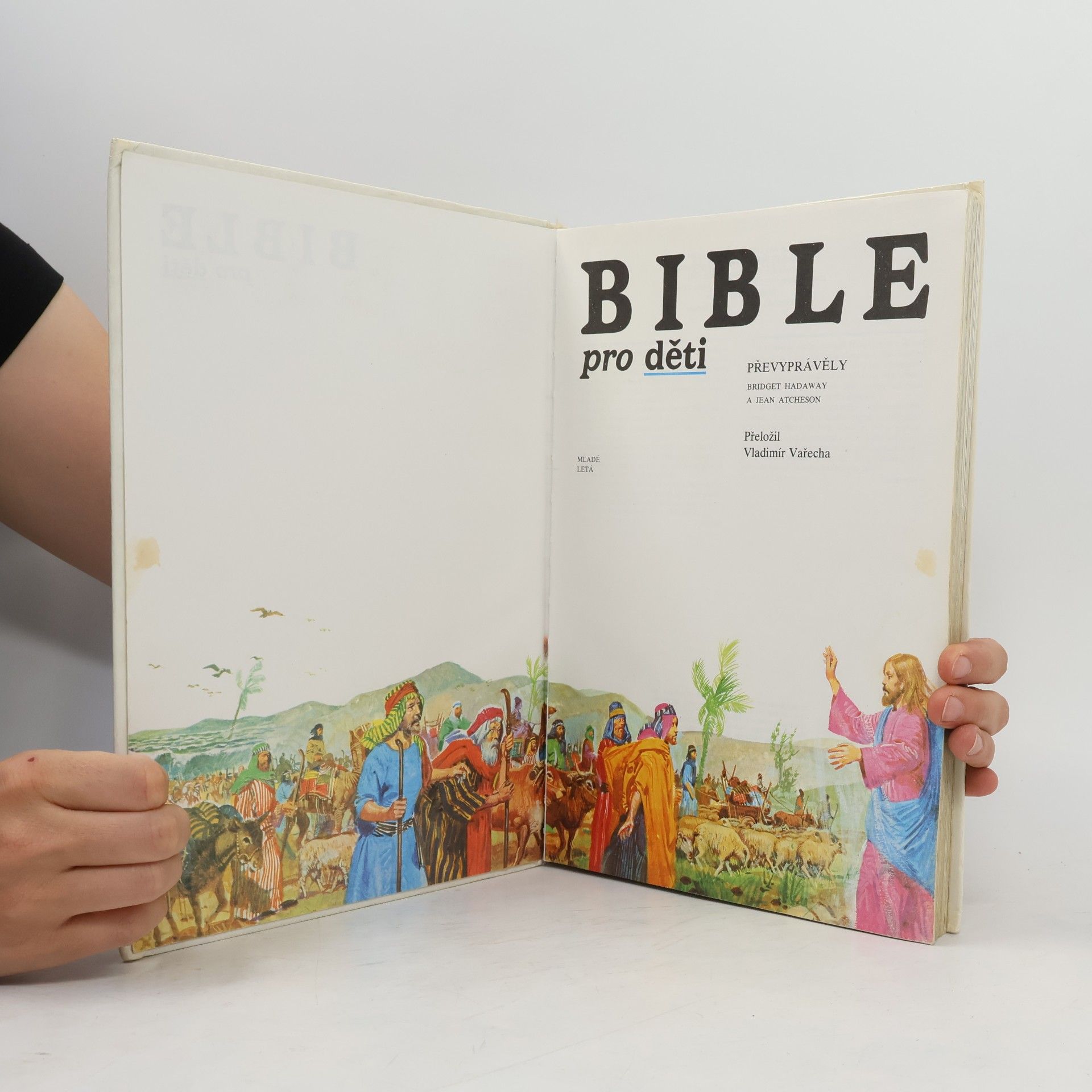 Bridget Hadaway Bible pro děti