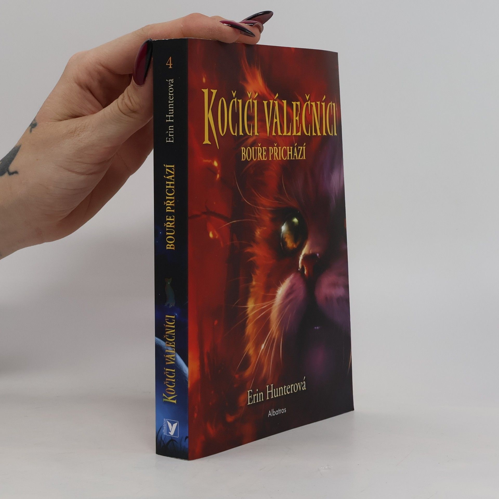 Erin Hunter Kočičí válečníci (4) - Bouře přichází