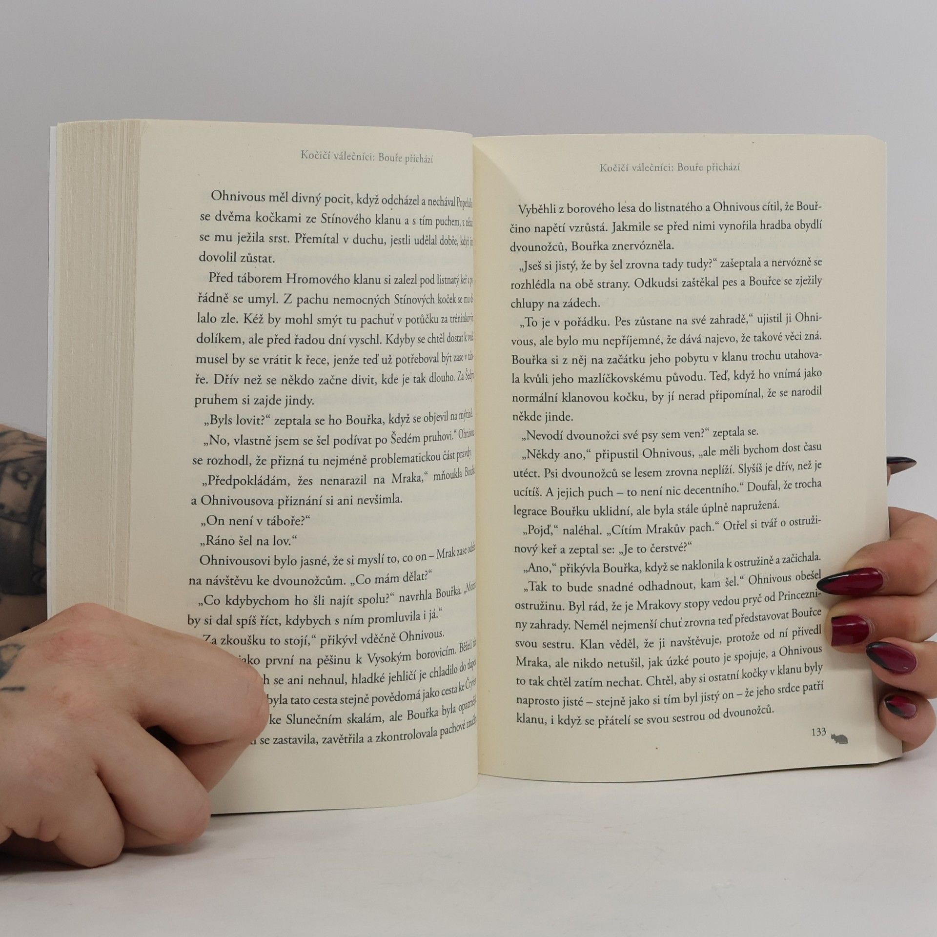 Erin Hunter Kočičí válečníci (4) - Bouře přichází