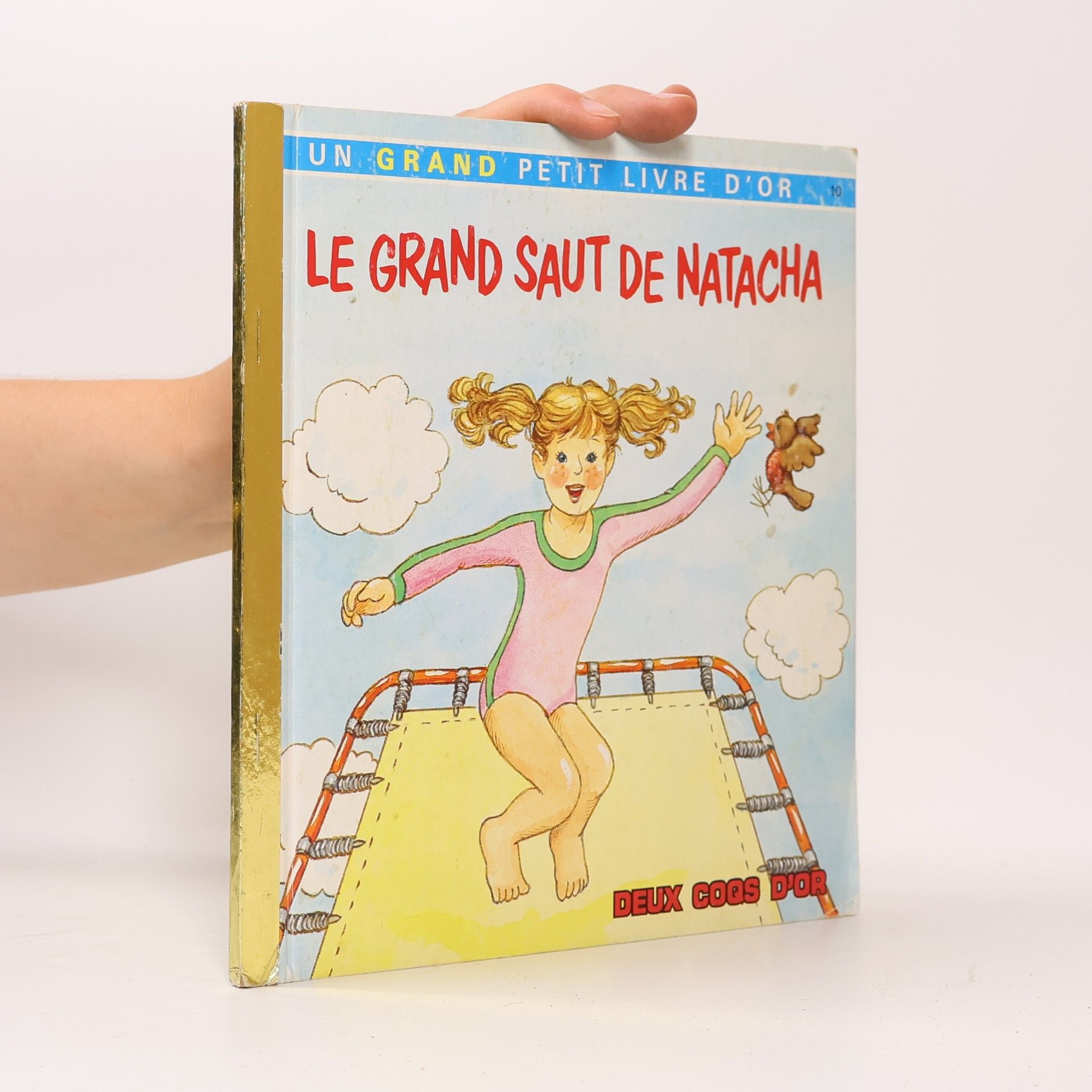 Collectif d'auteurs Le grand saut de Natacha