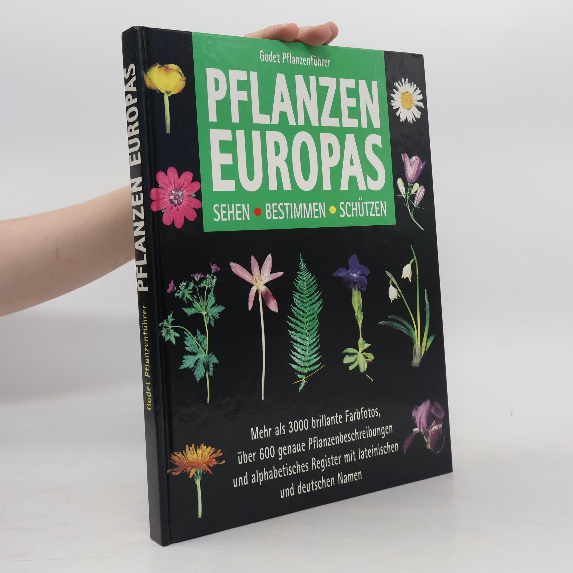 Jean-Denis Godet Godet Pflanzenführer. Pflanzen Europas